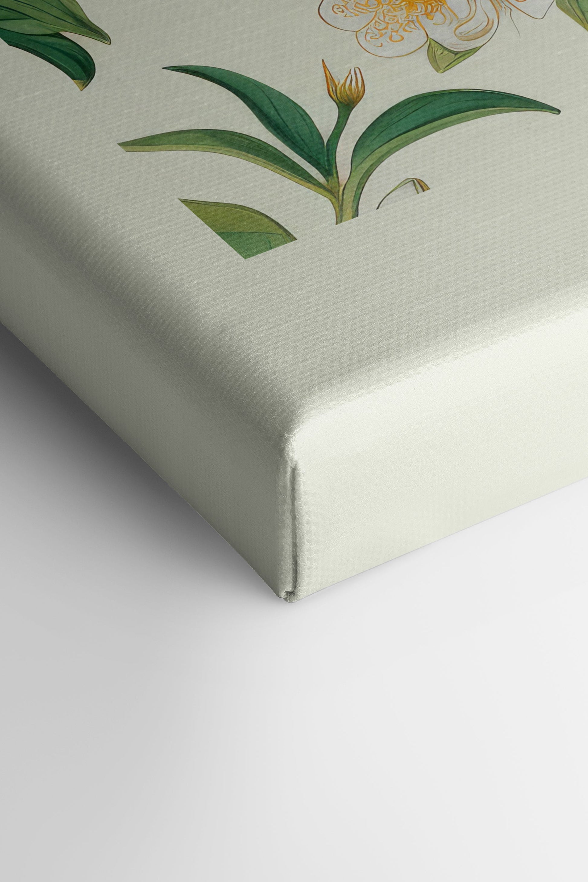 FRUIT PRINT, Stretched Canvas Artwork