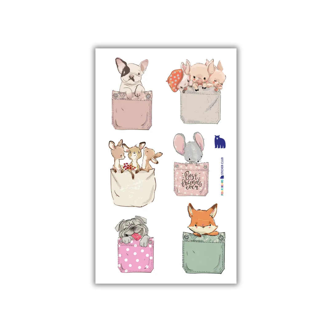 Pocket Friends
