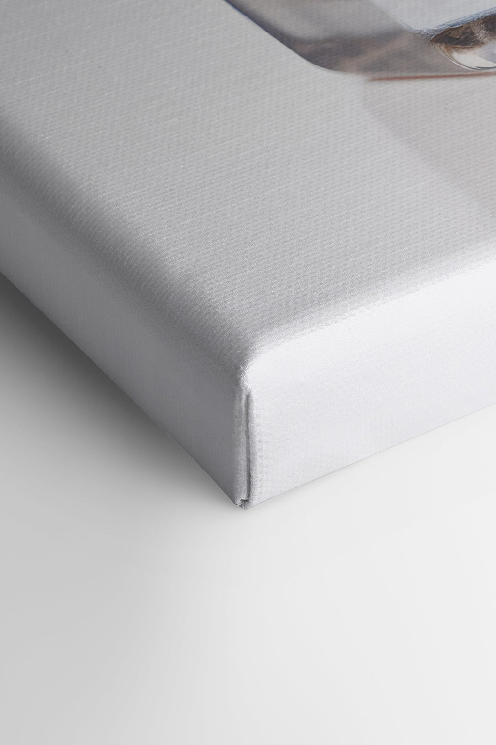 Stretched Canvas Artwork