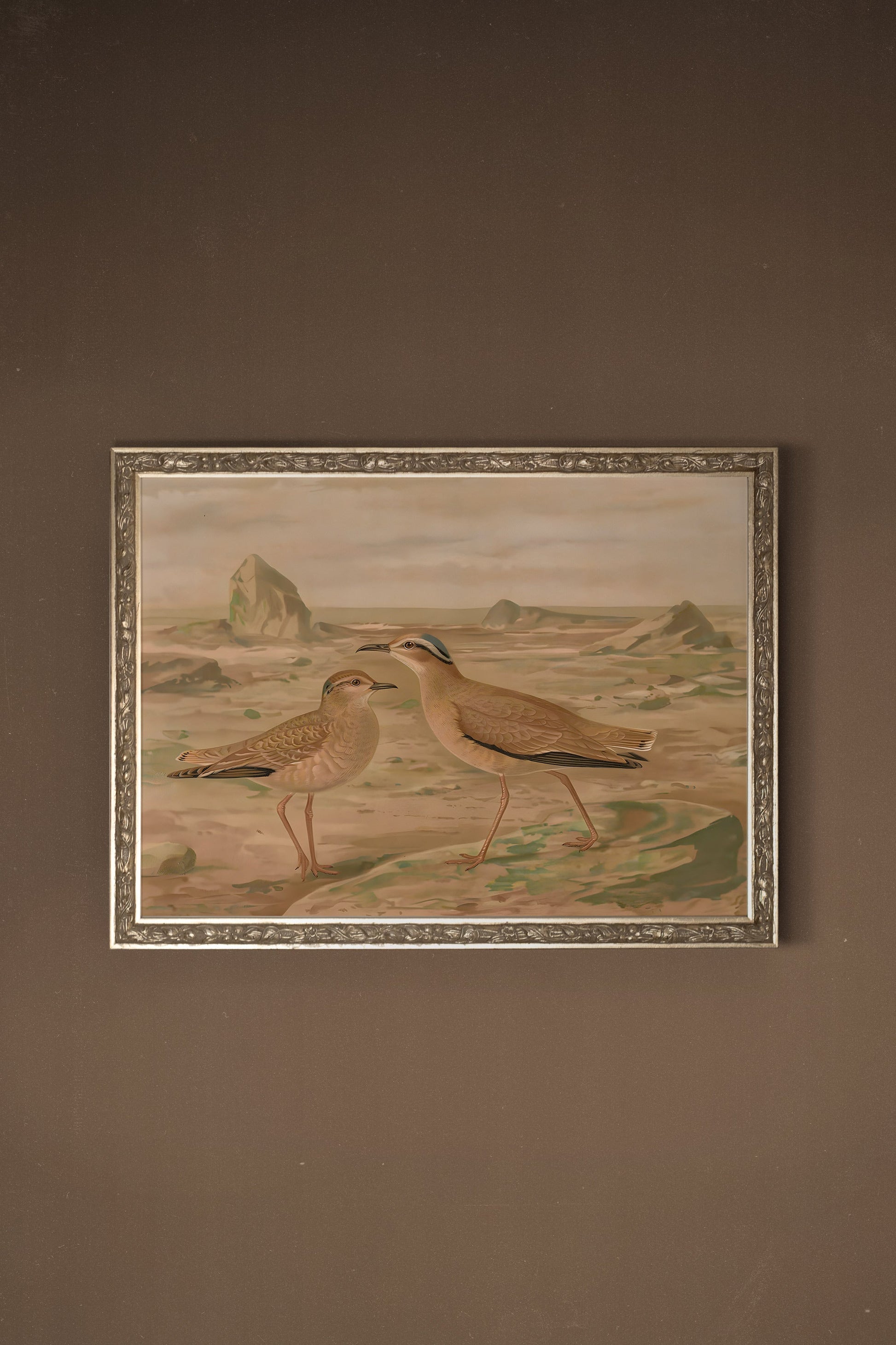 Sandy Birds, Vintage Silver Frame