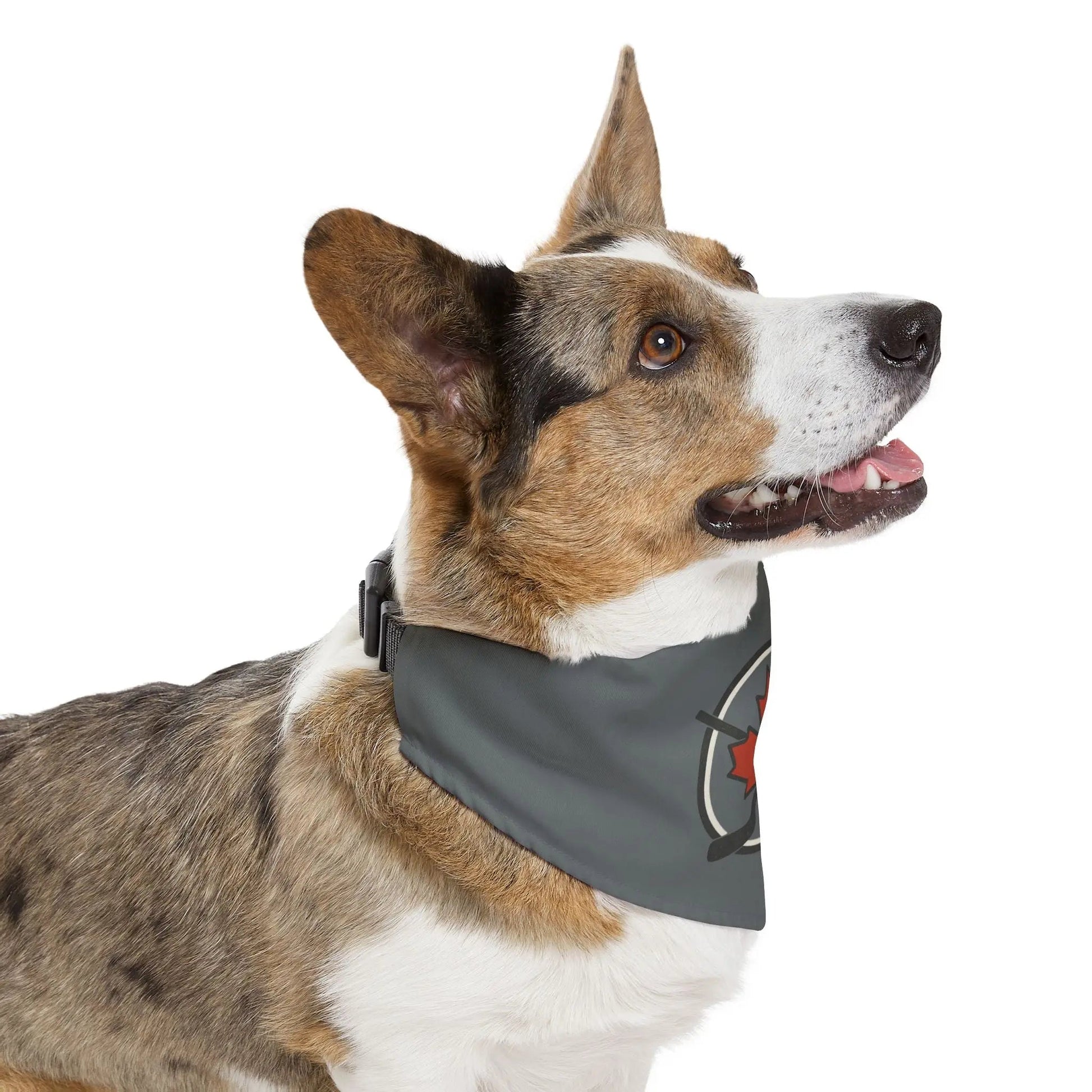 Bandana élégant pour animaux de compagnie, parfait pour les chiens, la mode canine, la fête du Canada, accessoires pour animaux, cadeau de Noël, équipement mignon pour chien
