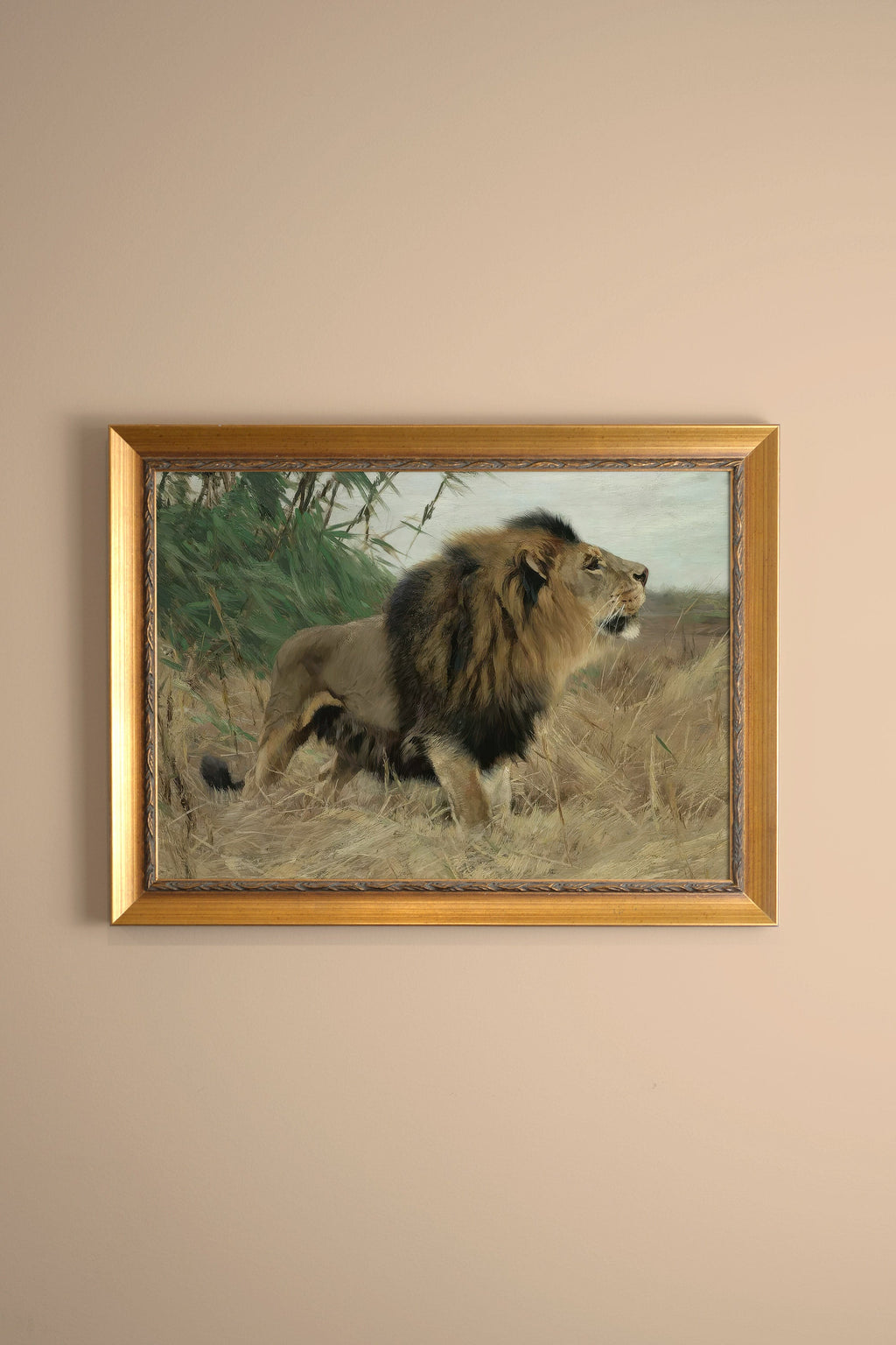 WILD MAJESTY, VINTAGE FRAME GOLD