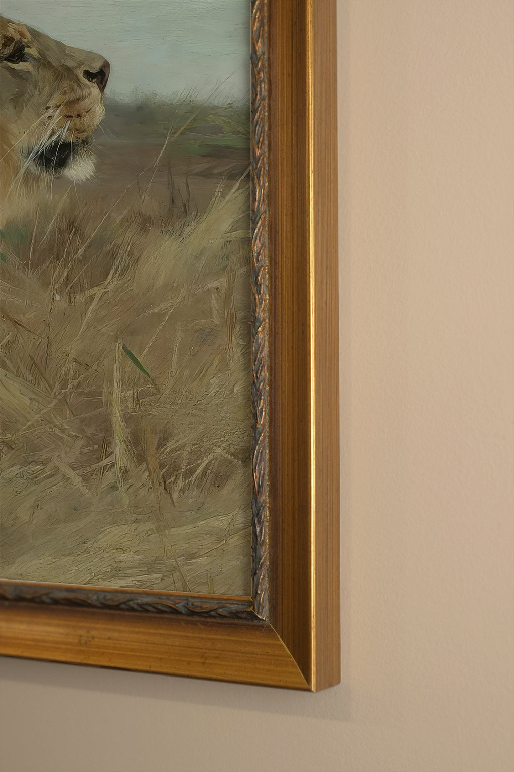 WILD MAJESTY, VINTAGE FRAME GOLD
