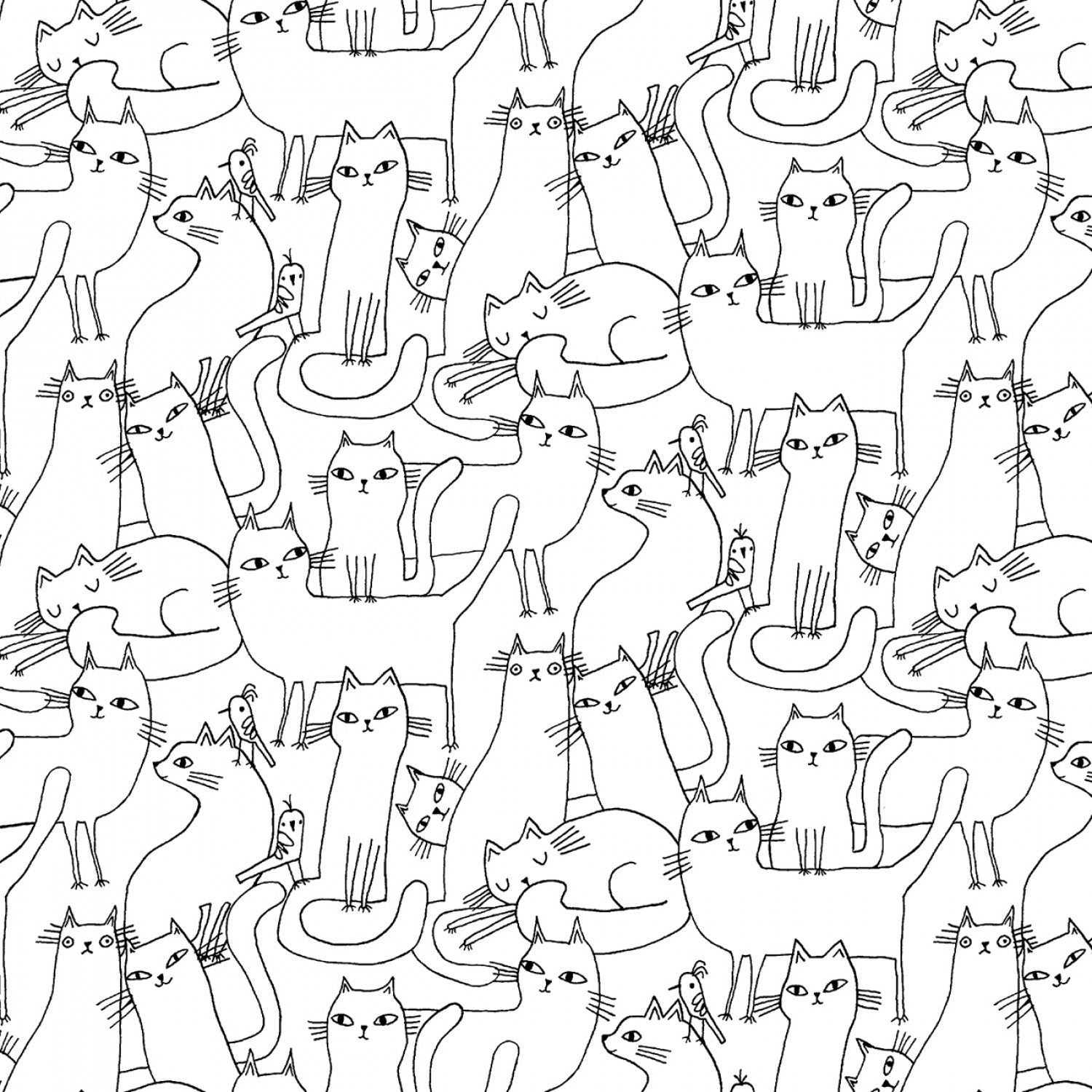 Cosmo Cats - Outline Cats Blanc/Noir