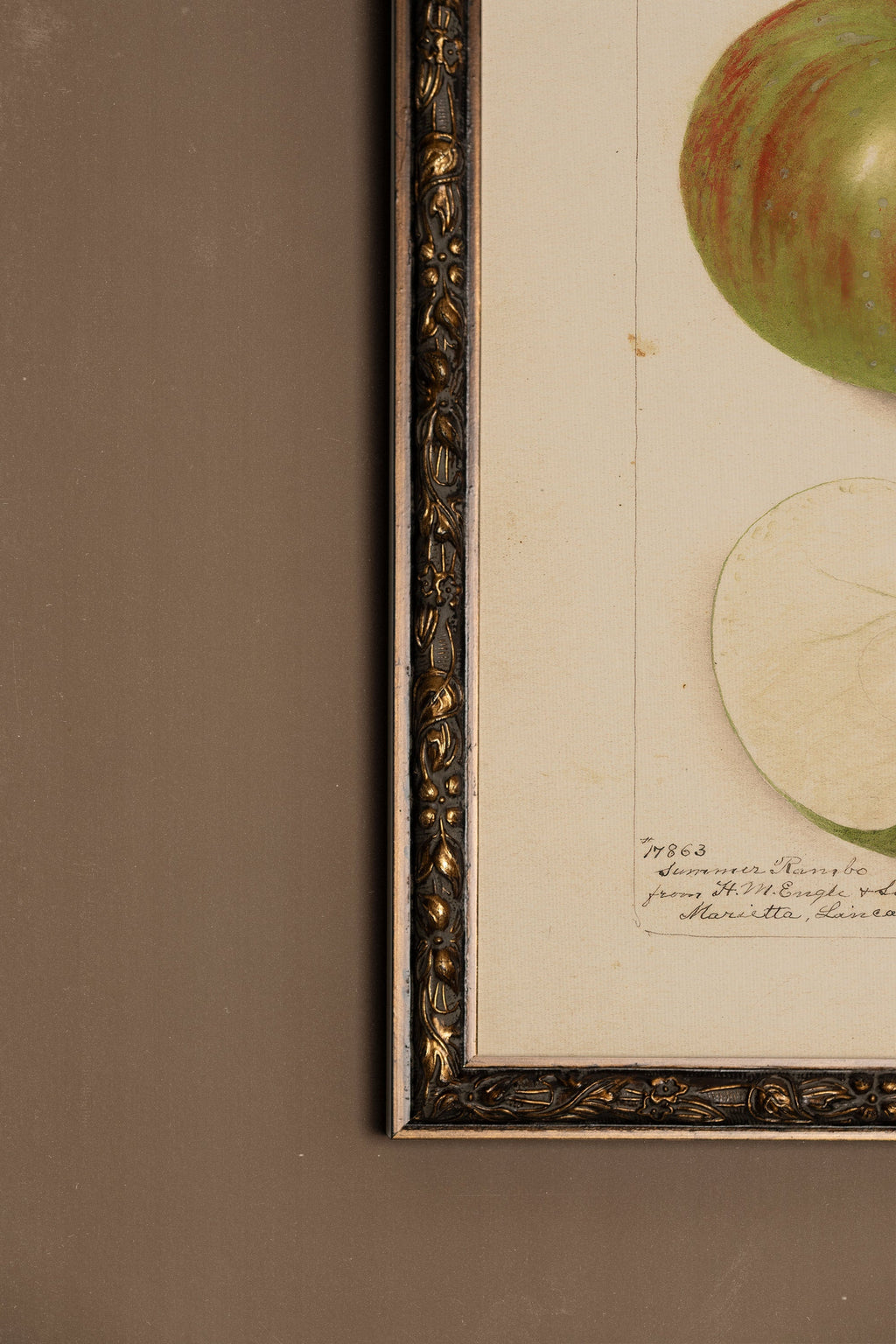 Taste of the Past, Vintage Bronze Frame