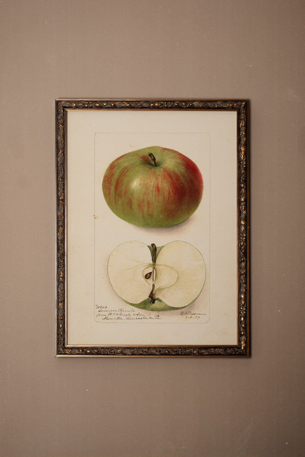 Taste of the Past, Vintage Bronze Frame