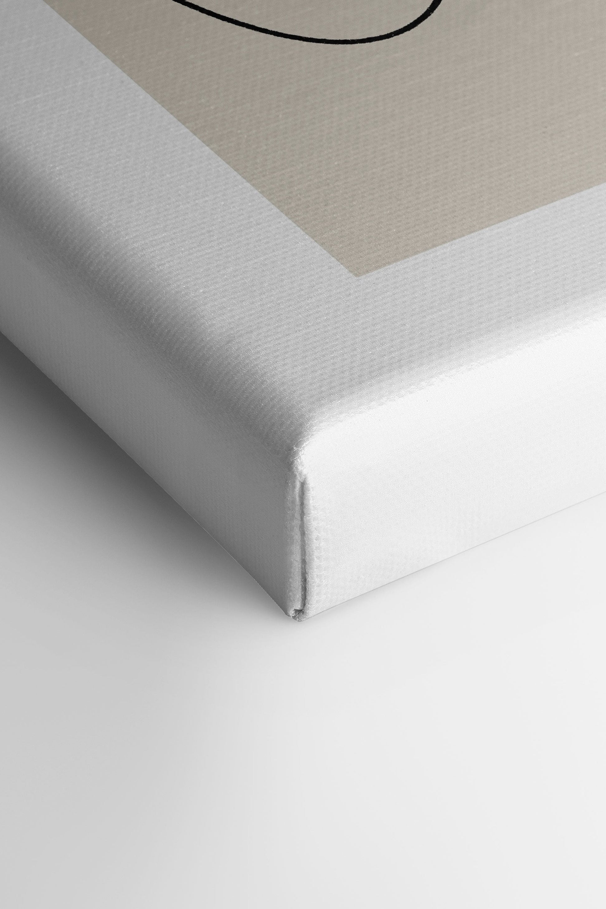 ELEGANT CURVES TRIO (3 Stretched Canvas Artworks)