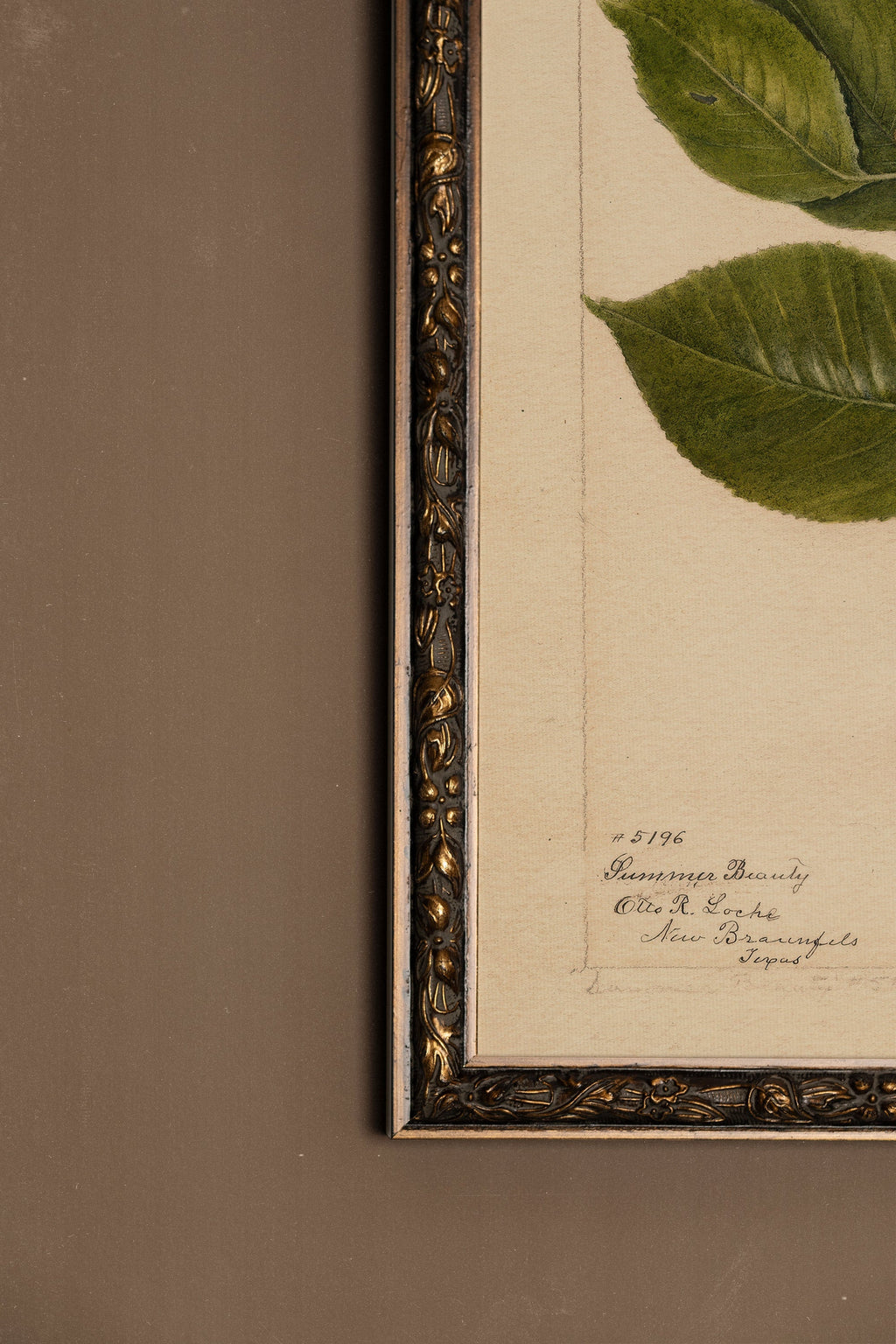 Seasonal Nectar, Vintage Bronze Frame
