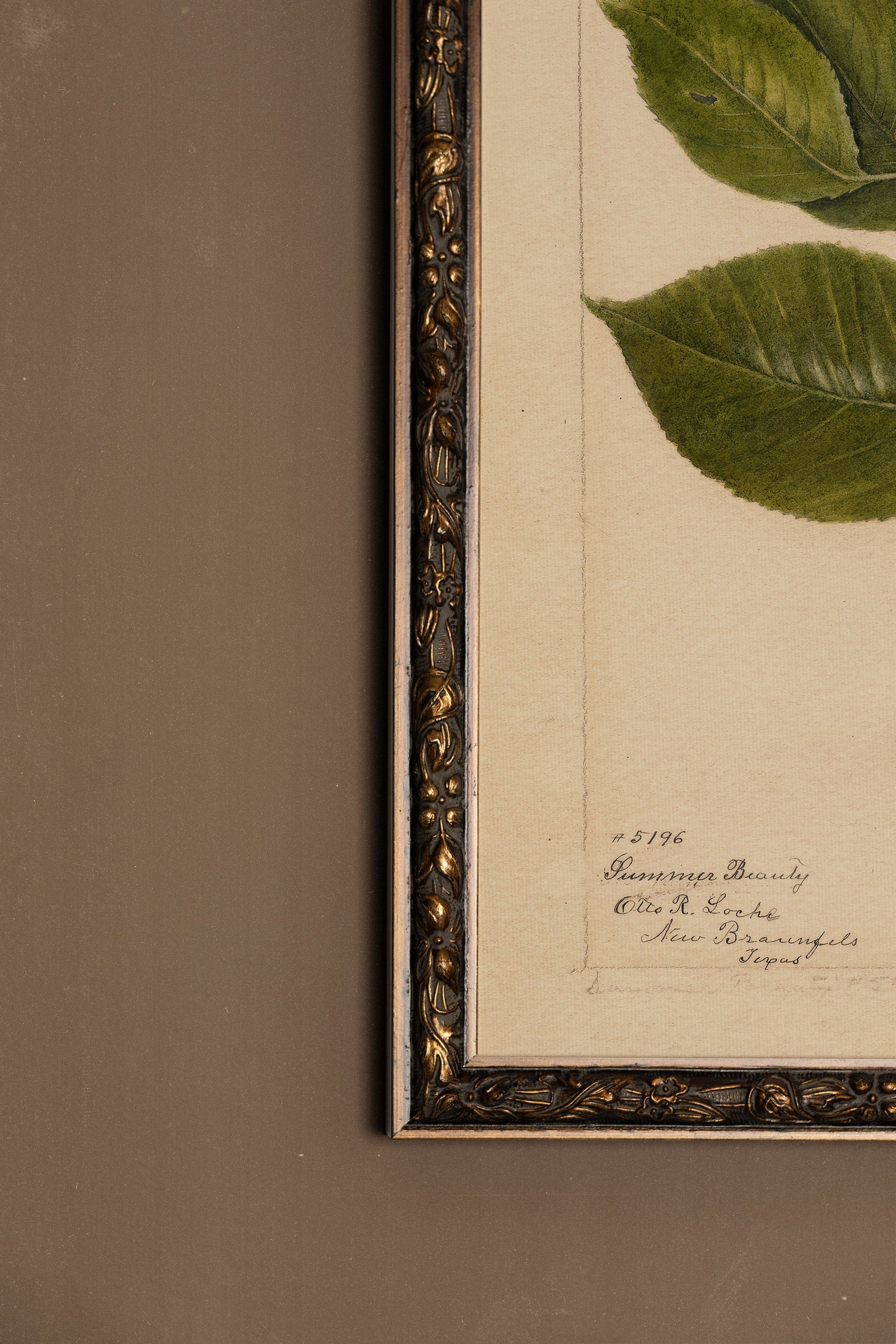 Seasonal Nectar, Vintage Bronze Frame