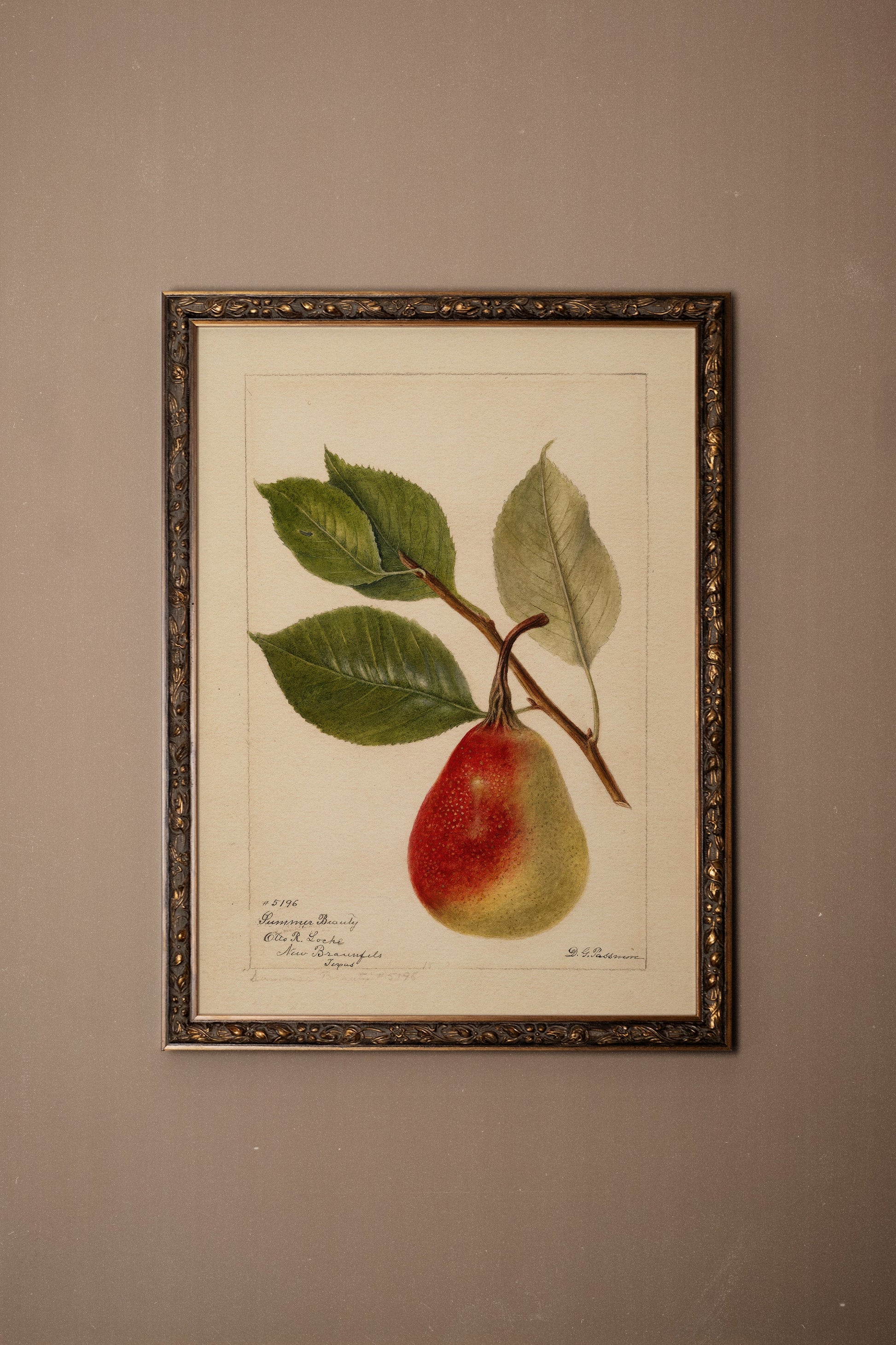 Seasonal Nectar, Vintage Bronze Frame