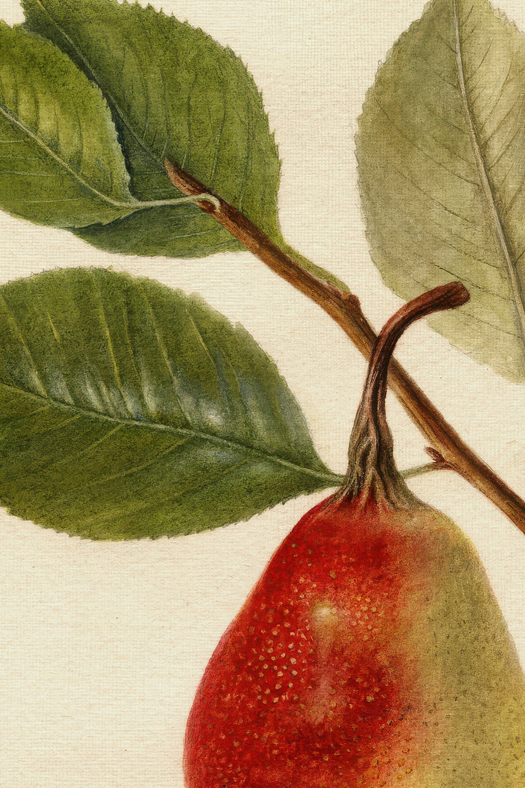 Seasonal Nectar, Vintage Bronze Frame