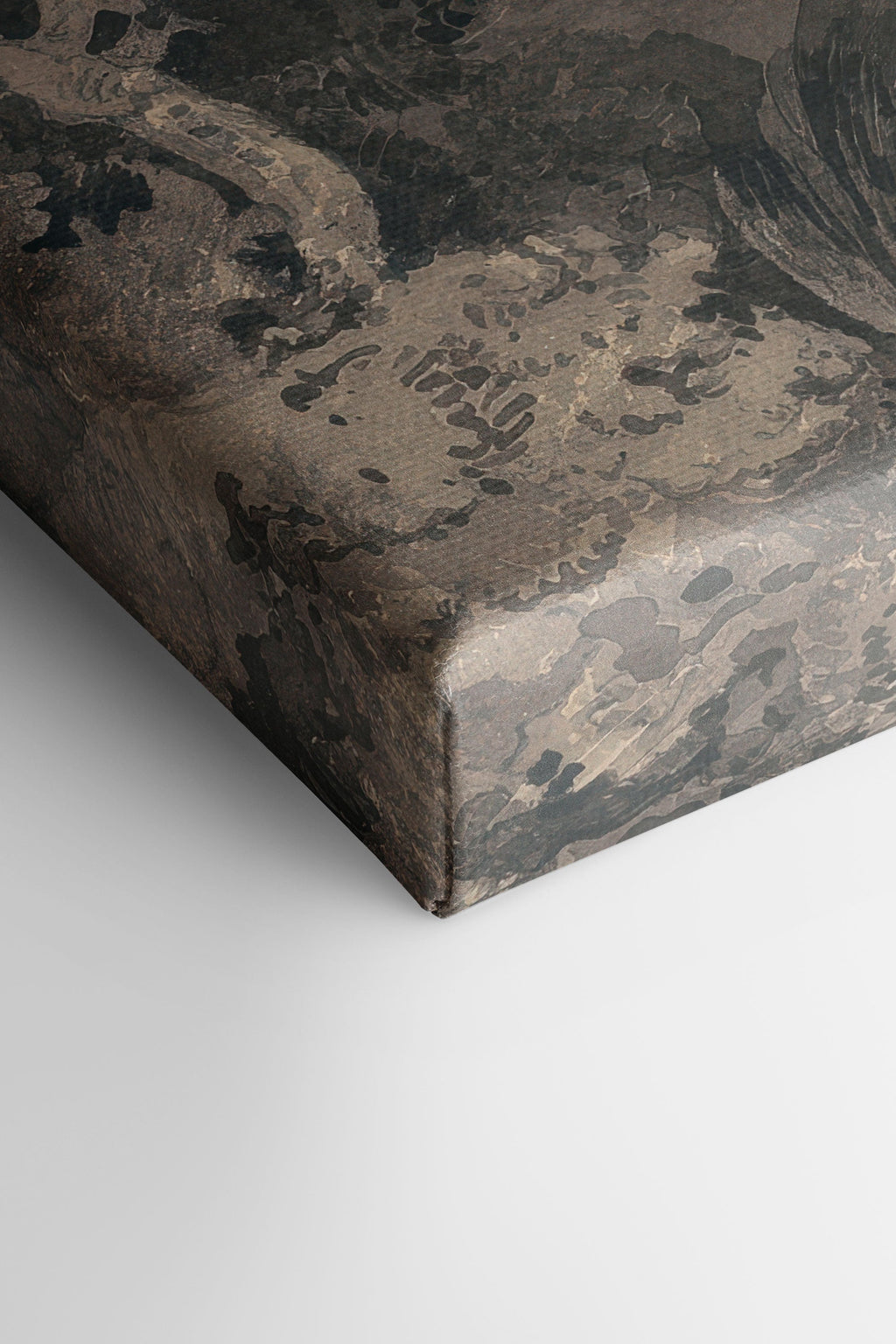 Veiled Vestiges, Stretched Canvas Artwork