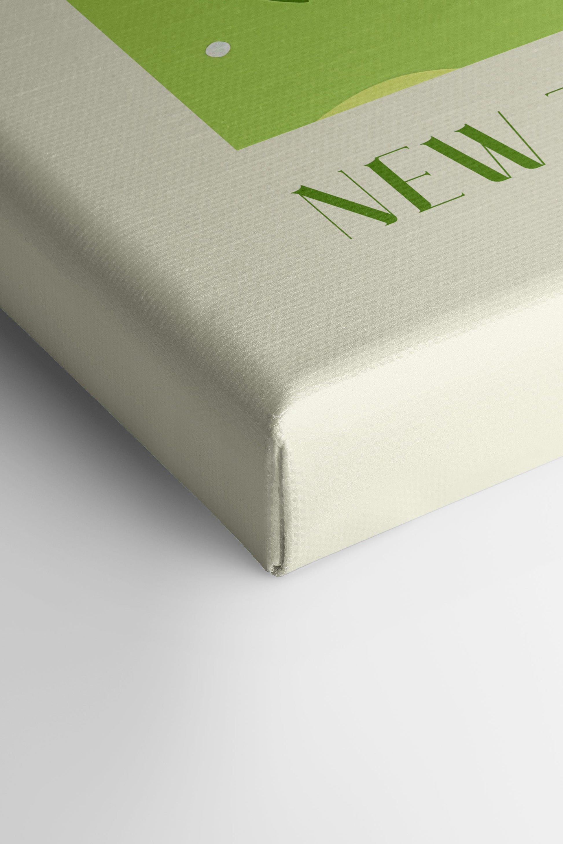 KIWI, Stretched Canvas Artwork