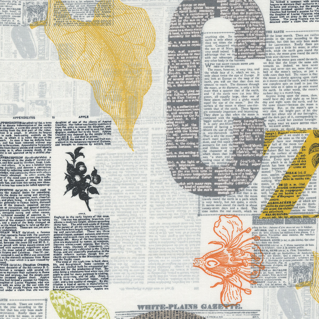 Zen Chic - Filigrane - Papier journal blanc cassé