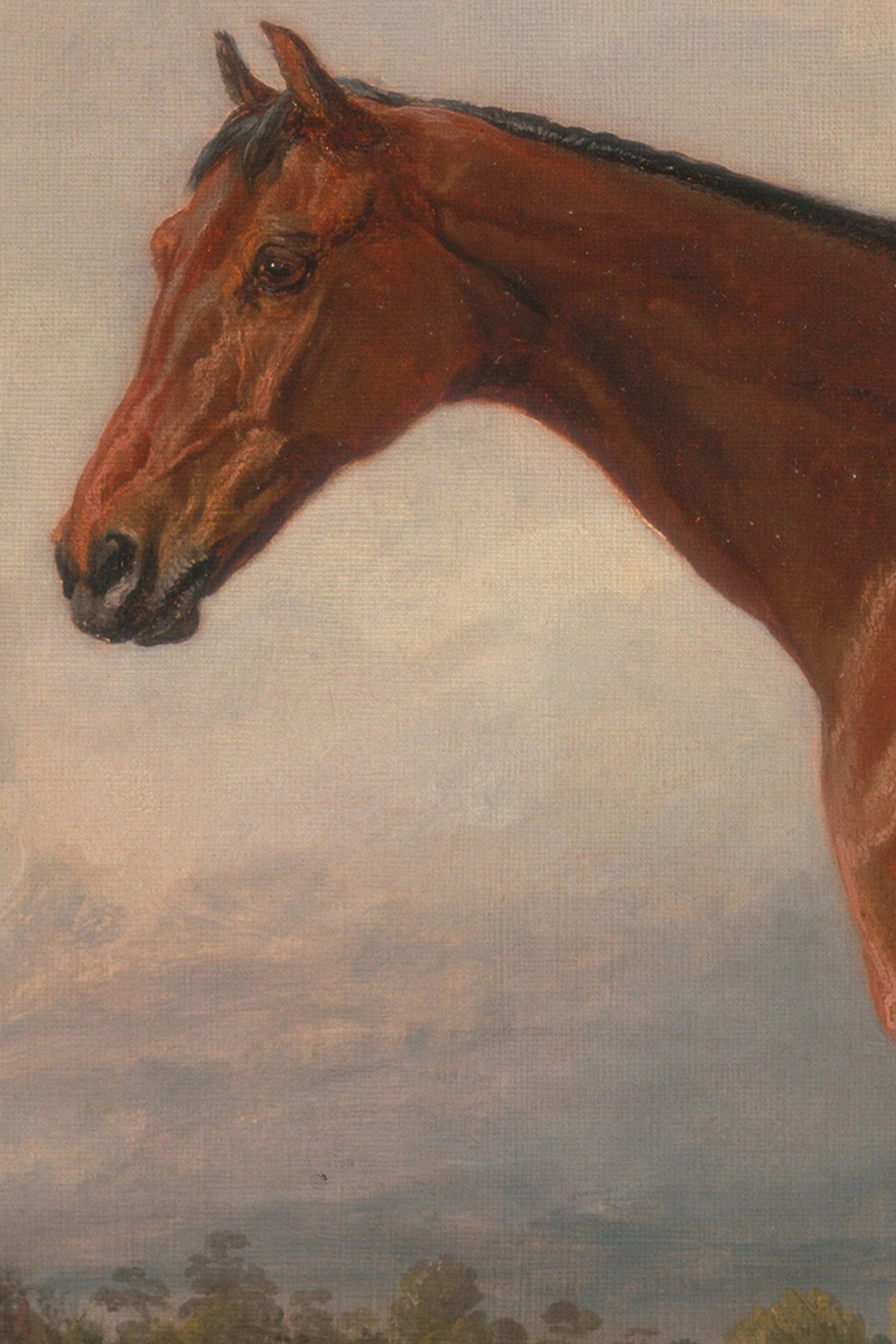 Equestrian Majesty, Vintage Bronze Frame
