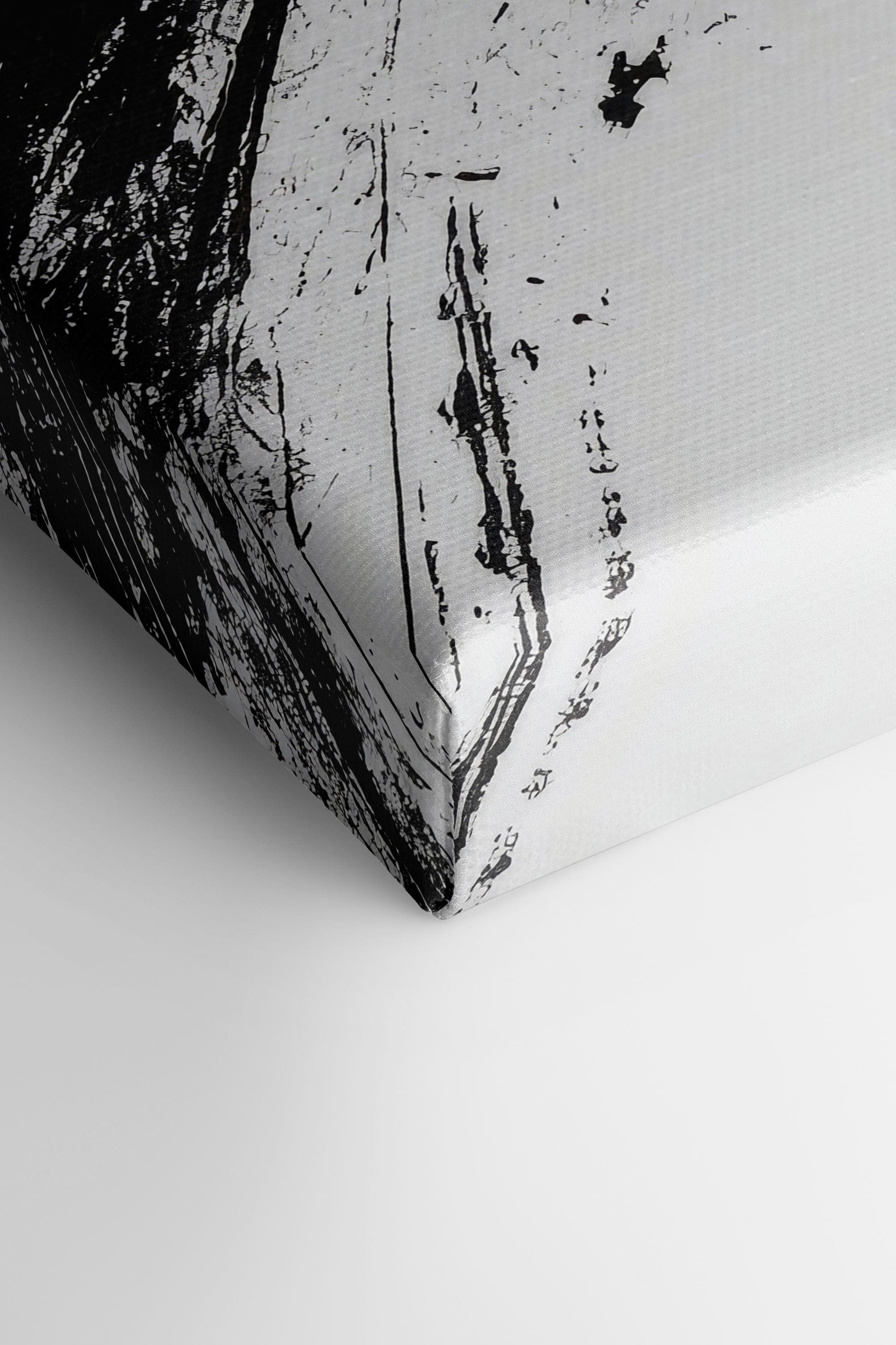 SHARP SHADOWS (2 Stretched Canvas Works)
