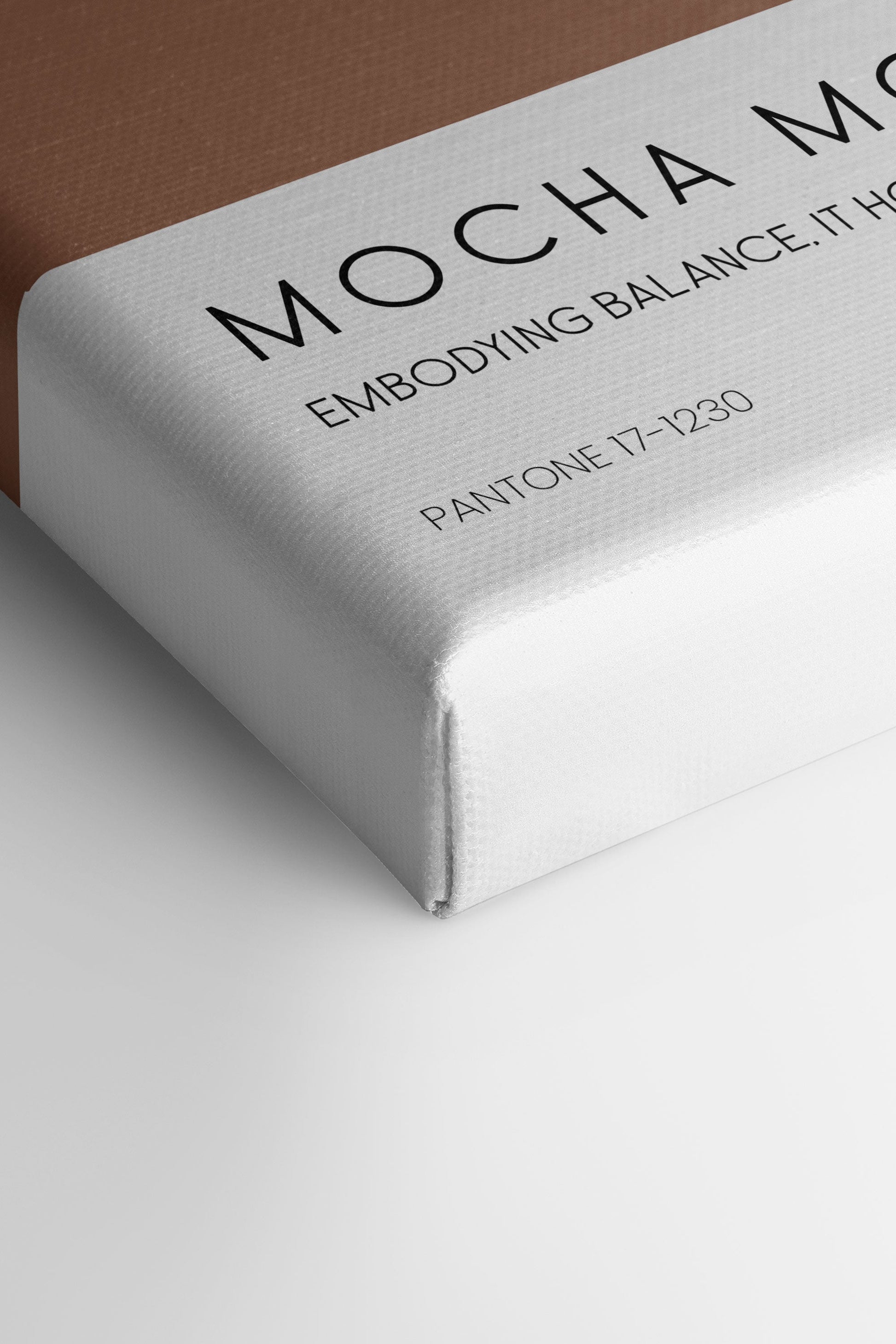 MOCHA MOUSSE, Stretched Canvas Artwork