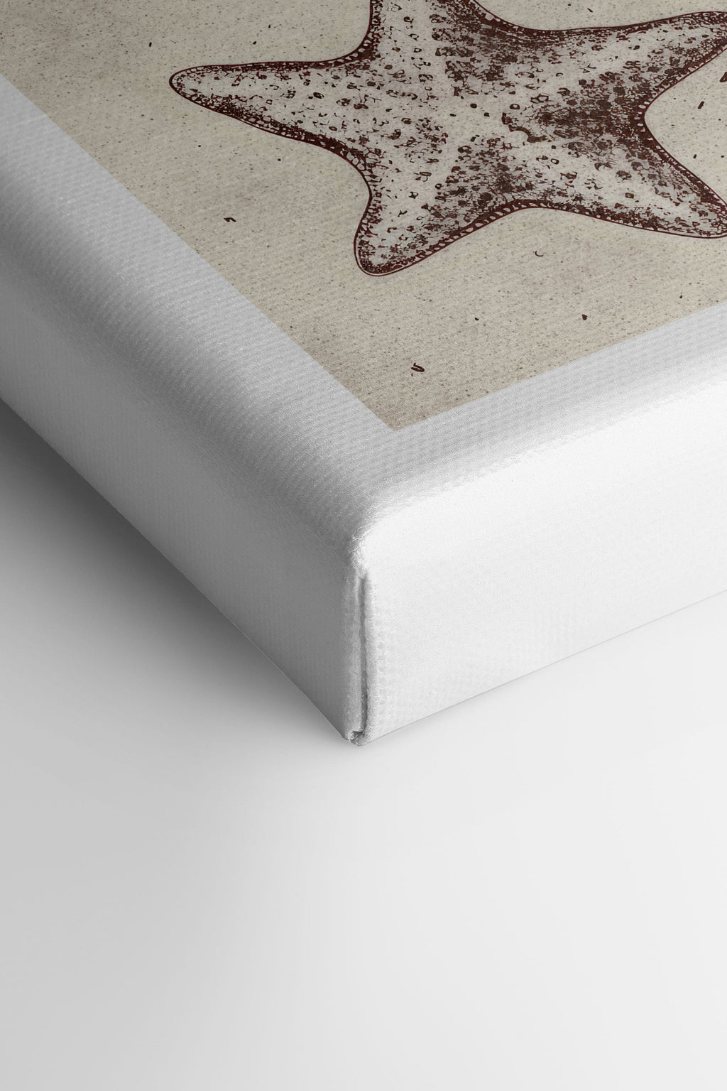 Coastal Collection, Stretched Canvas Artwork