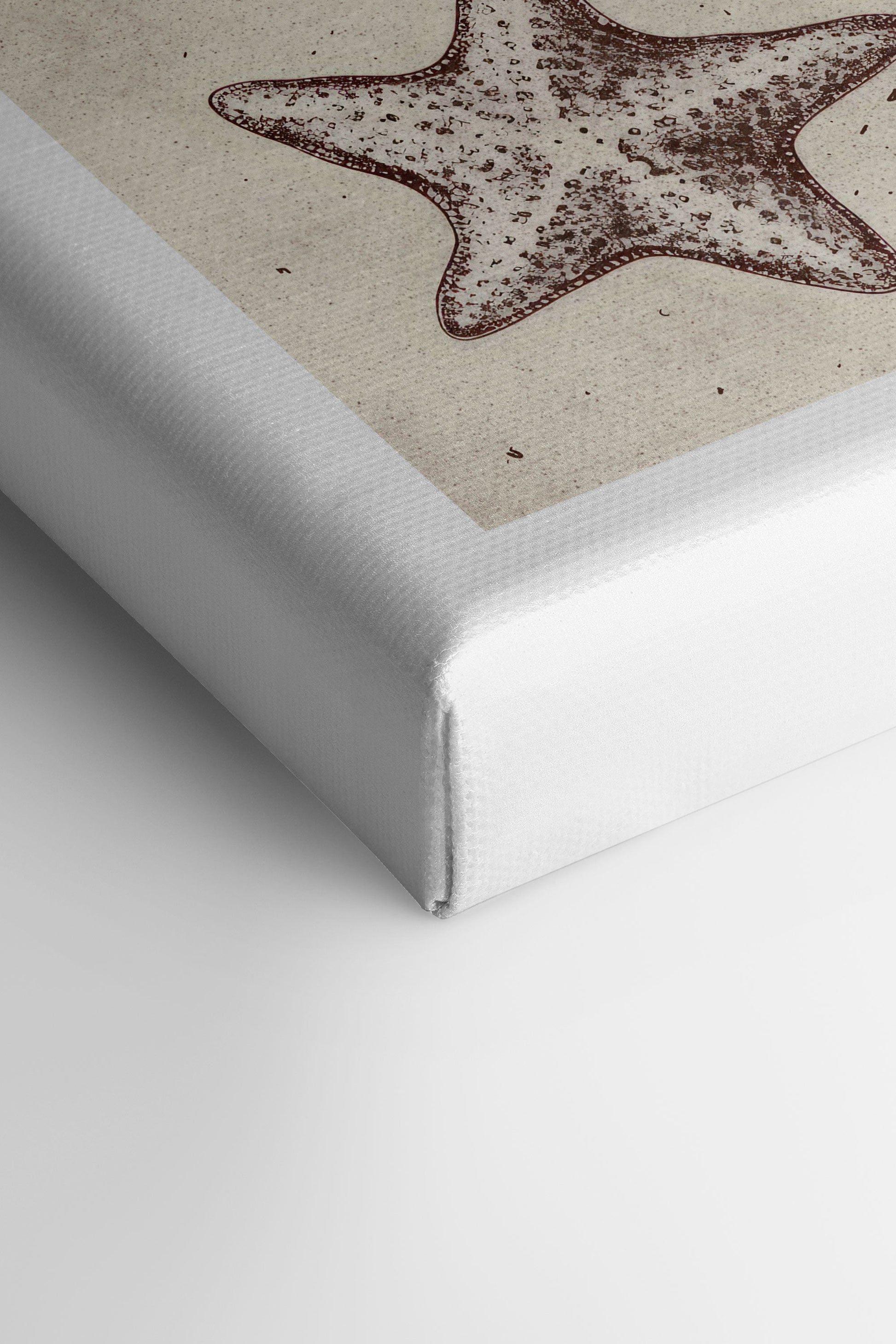 Coastal Collection, Stretched Canvas Artwork