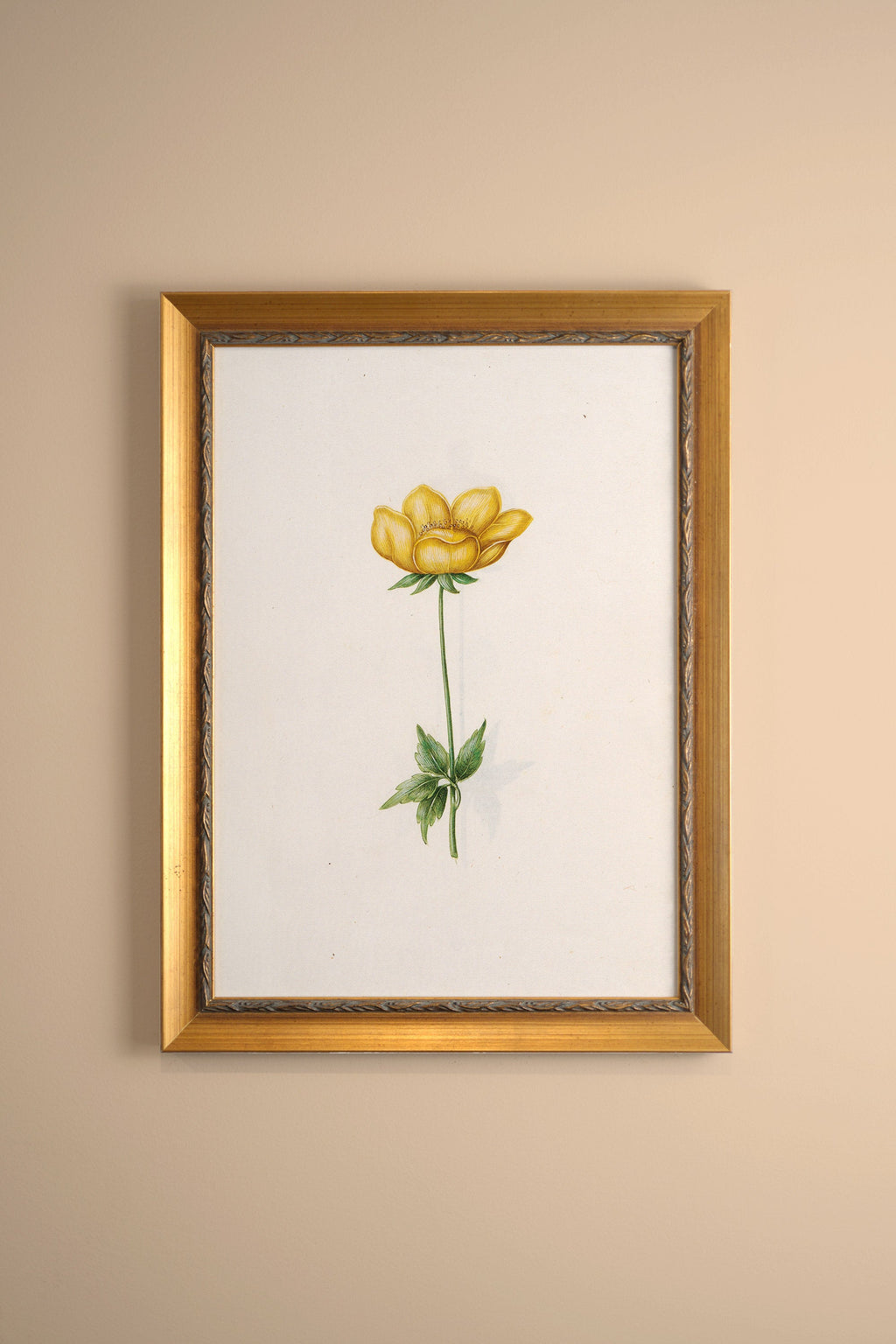 Botanical Poetry, Vintage Gold Frame