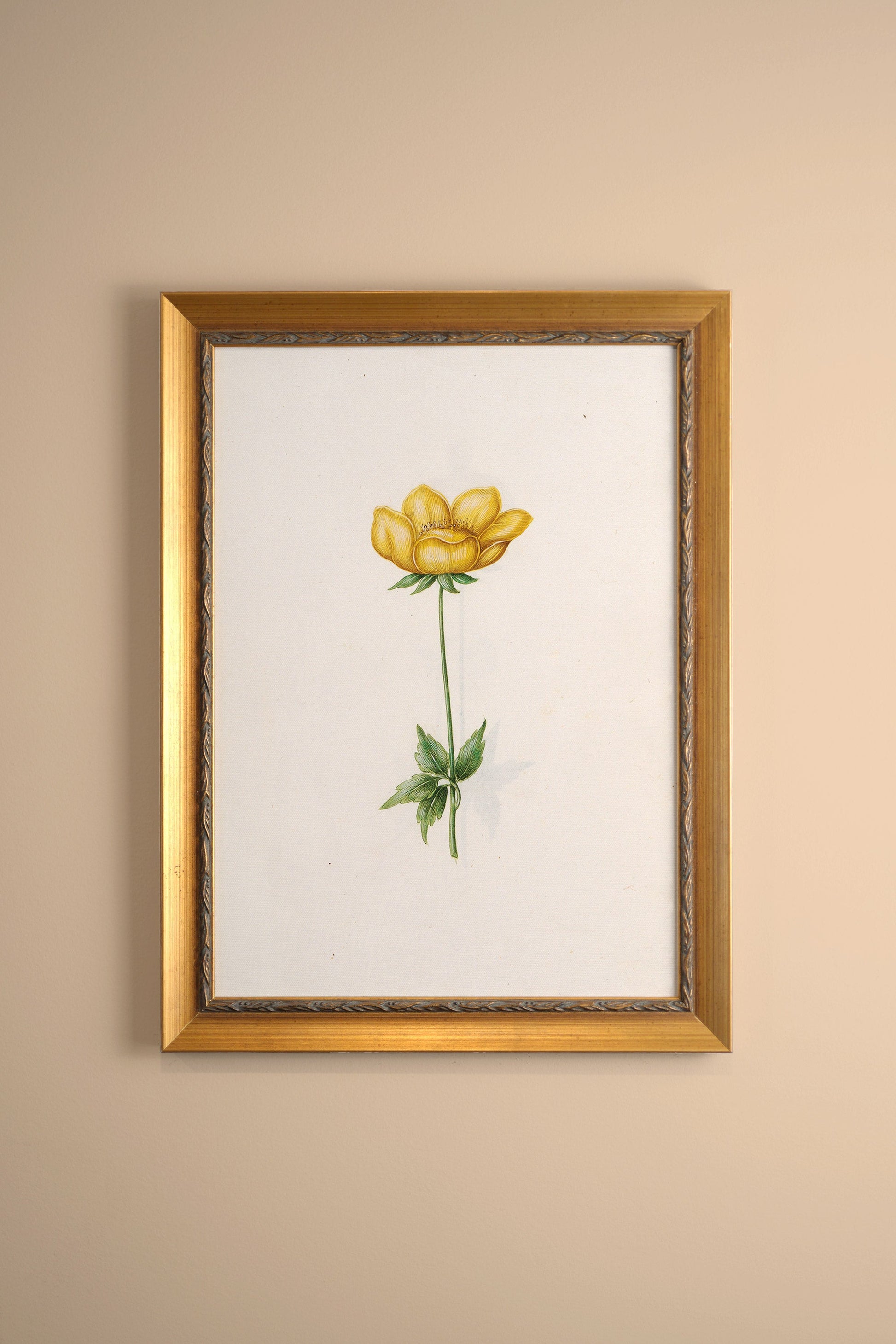 Botanical Poetry, Vintage Gold Frame