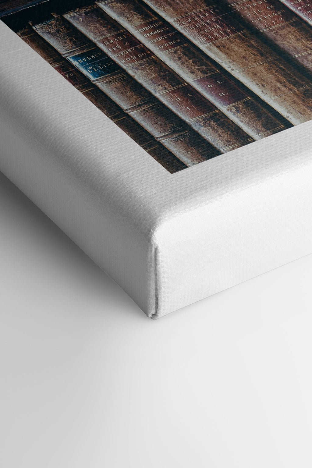 Hidden Knowledge, Stretched Canvas Artwork