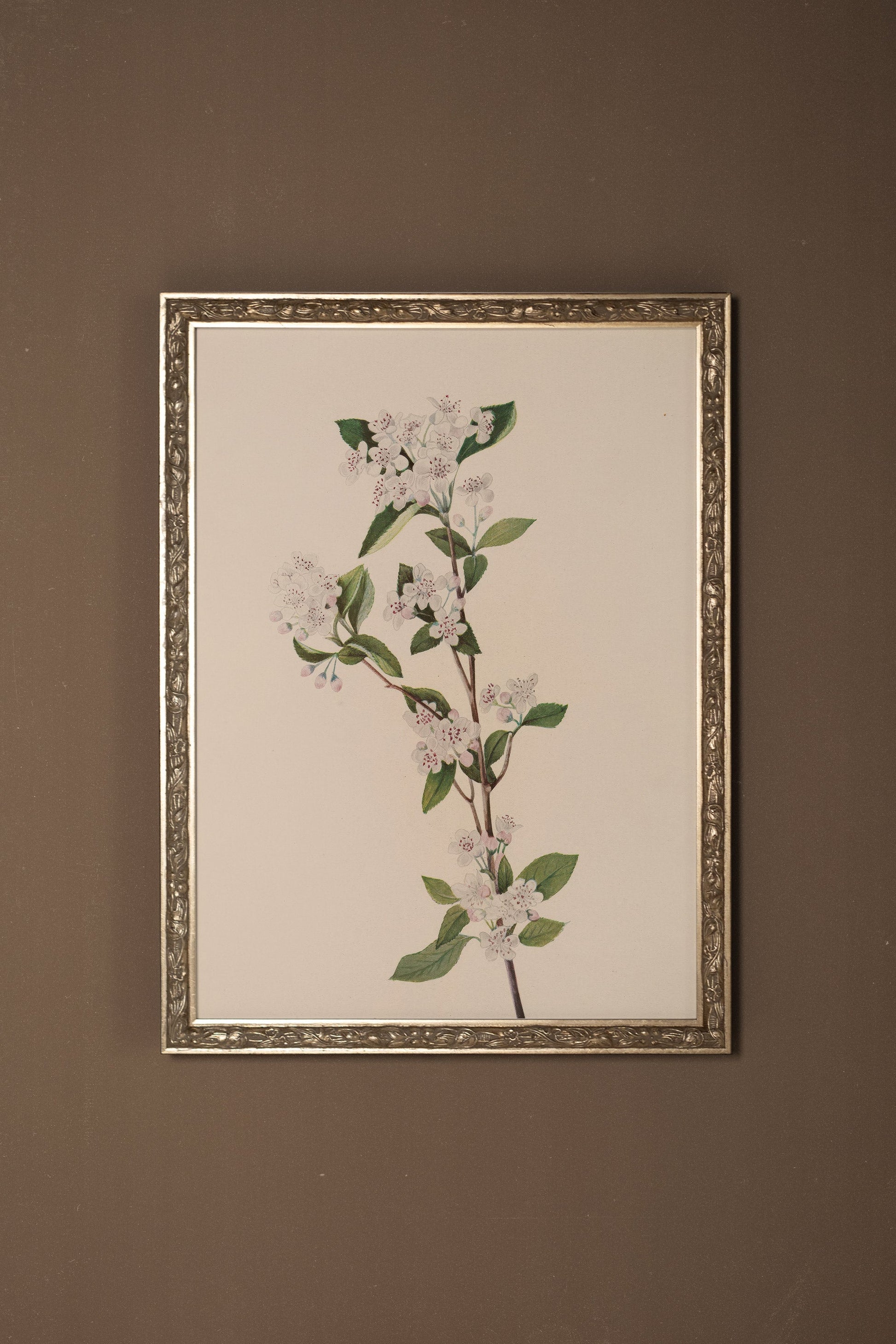 Vintage Silver Frame