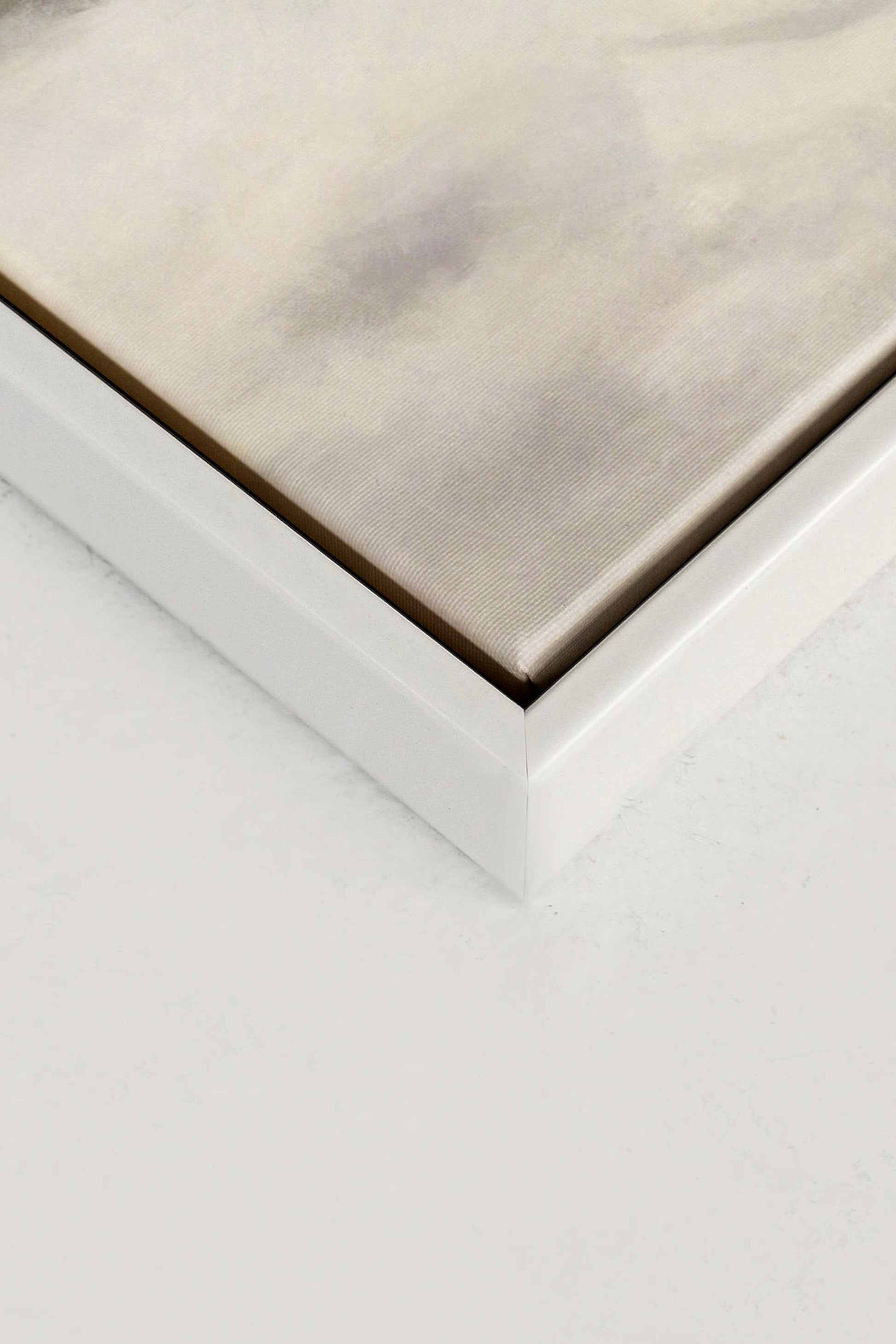 FROST, Stretched Canvas Artwork