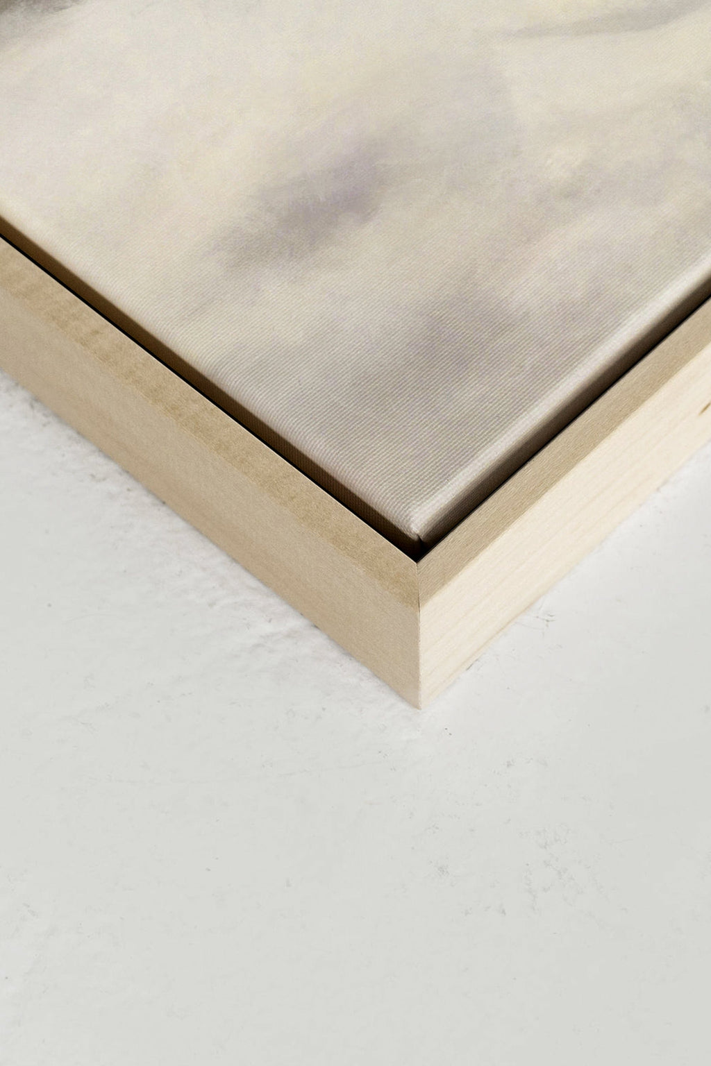 FROST, Stretched Canvas Artwork