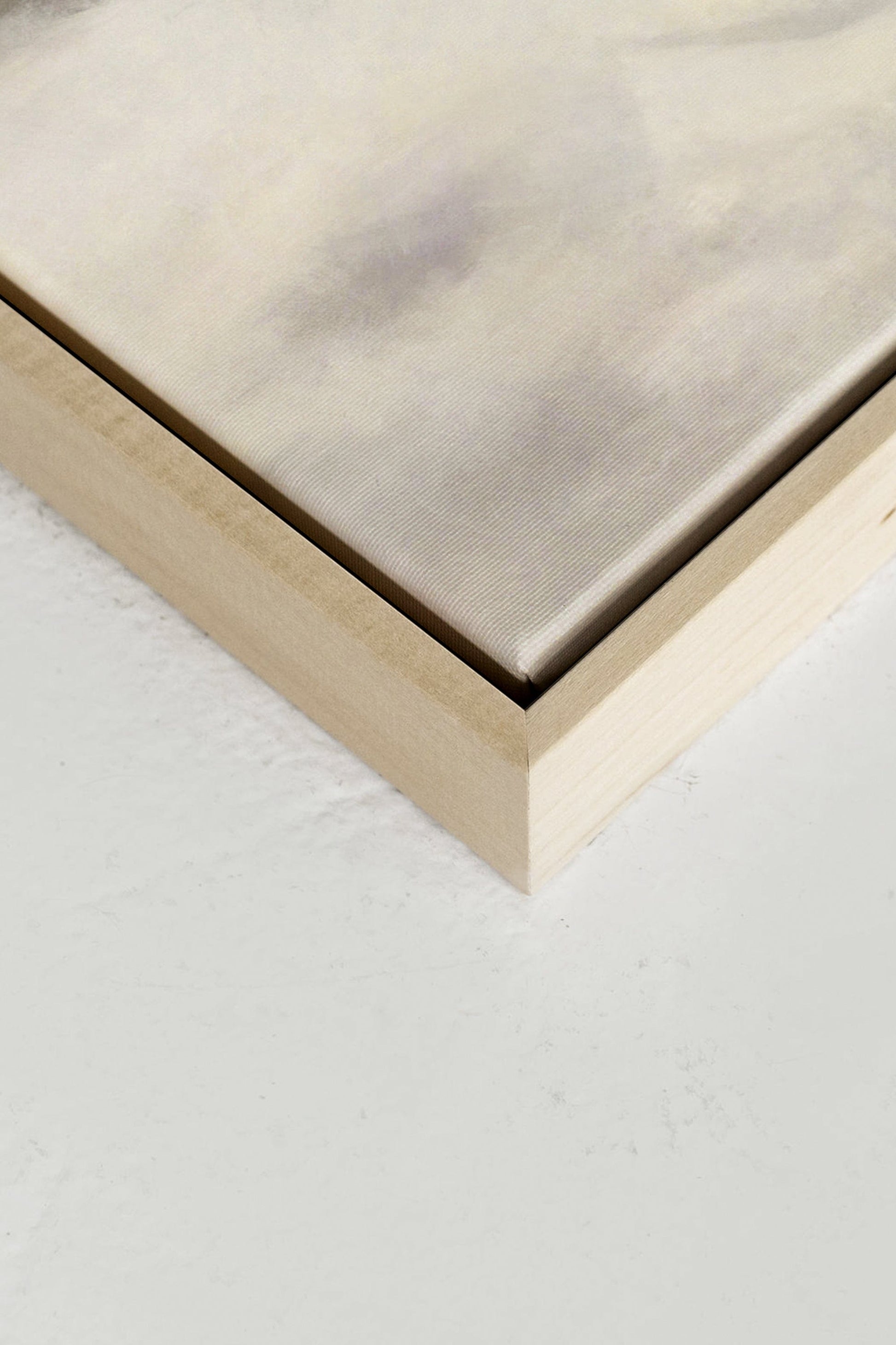 FROST, Stretched Canvas Artwork