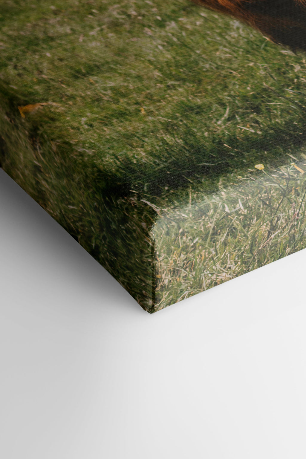 RUSTIC LEGEND, Stretched Canvas Artwork