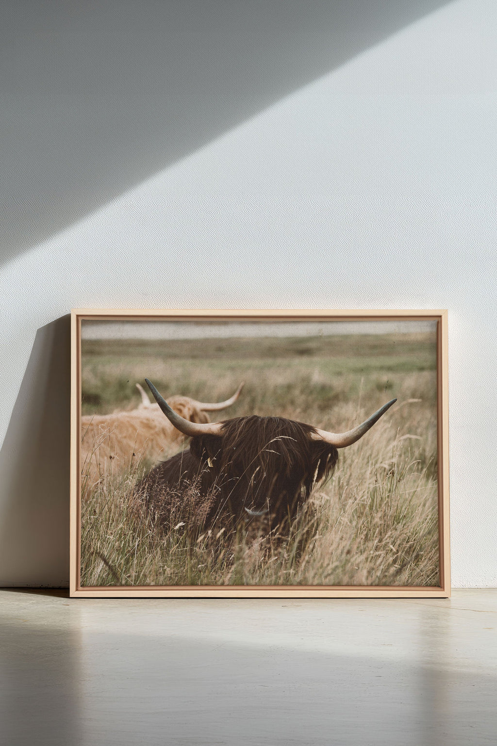 HIGHLAND SPIRIT, Stretched Canvas Artwork
