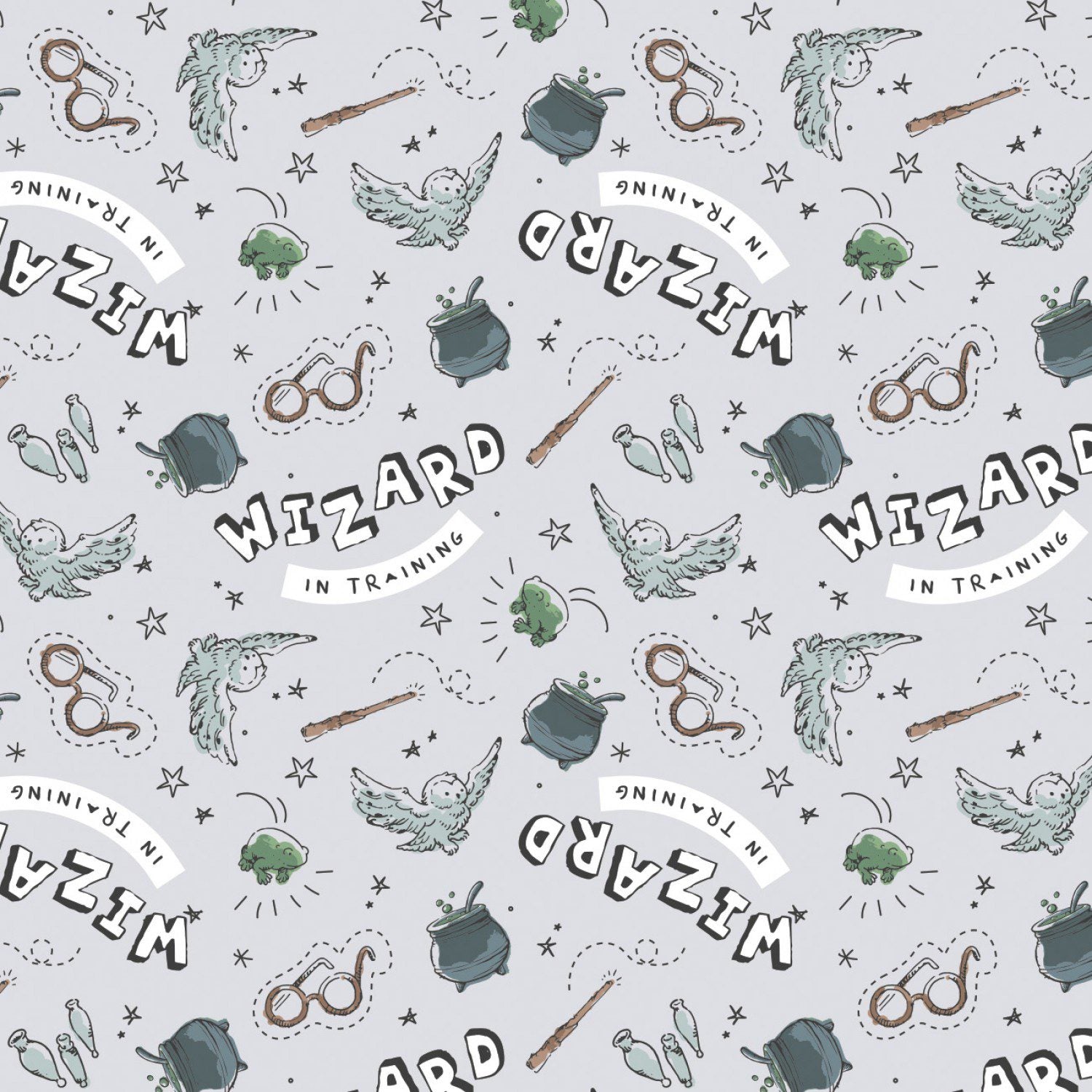 Camelot - Harry Potter - Wizard in Training - Grey