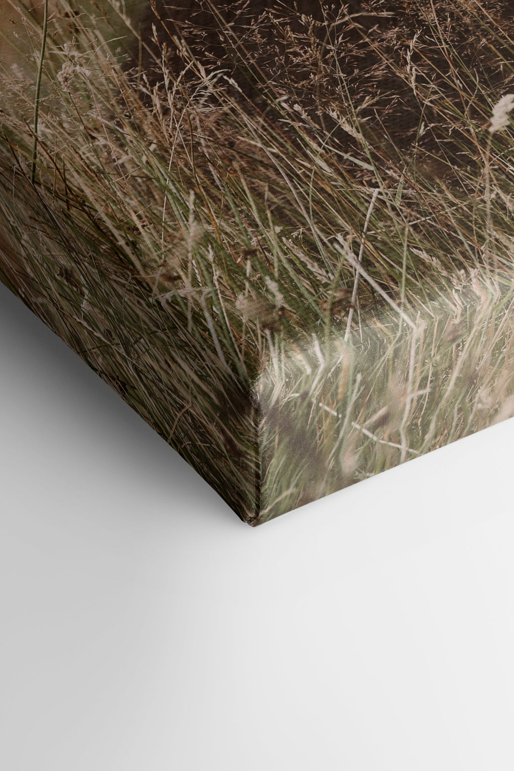 HIGHLAND SPIRIT, Stretched Canvas Artwork