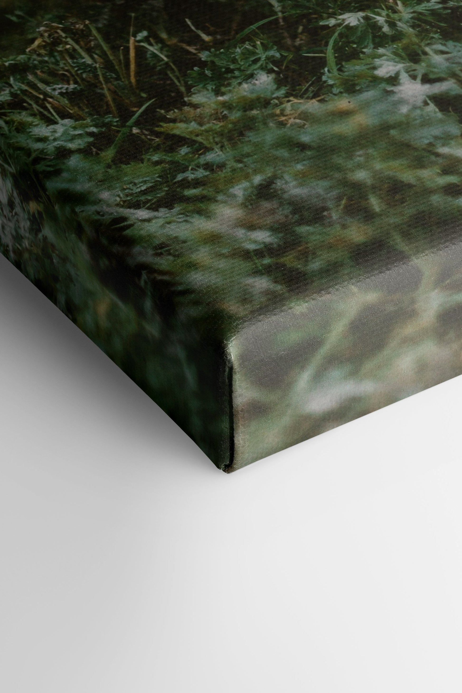 ROOTED SPIRIT, Stretched Canvas Artwork