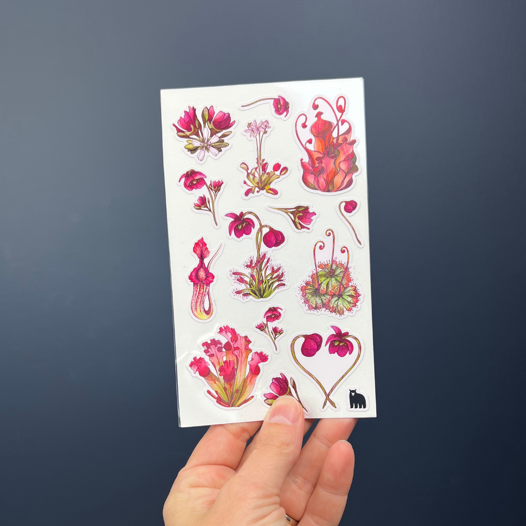 Carnivorous Plants