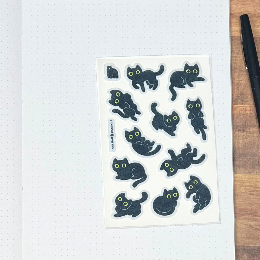 Chats noirs duveteux