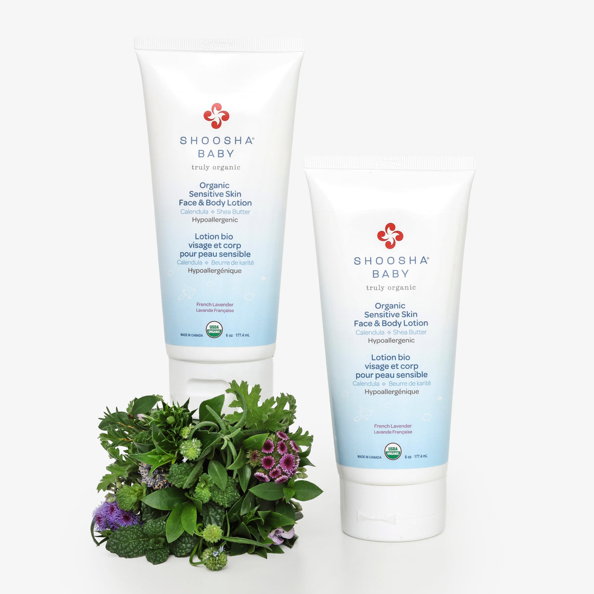 Face and Body Lotion