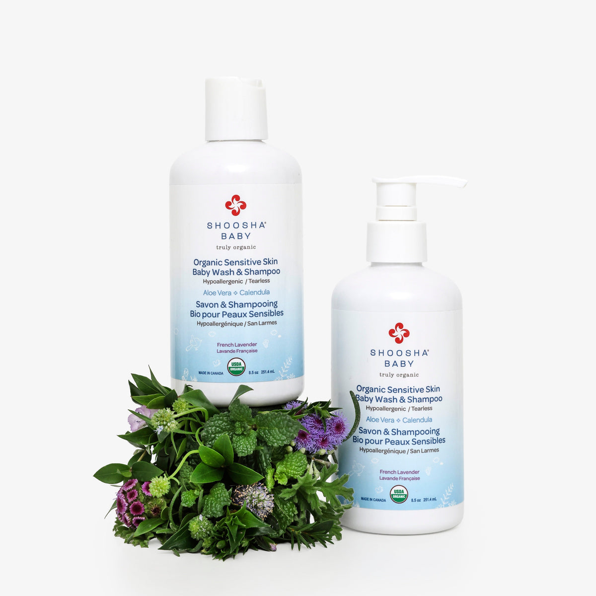 Wash & Shampoo