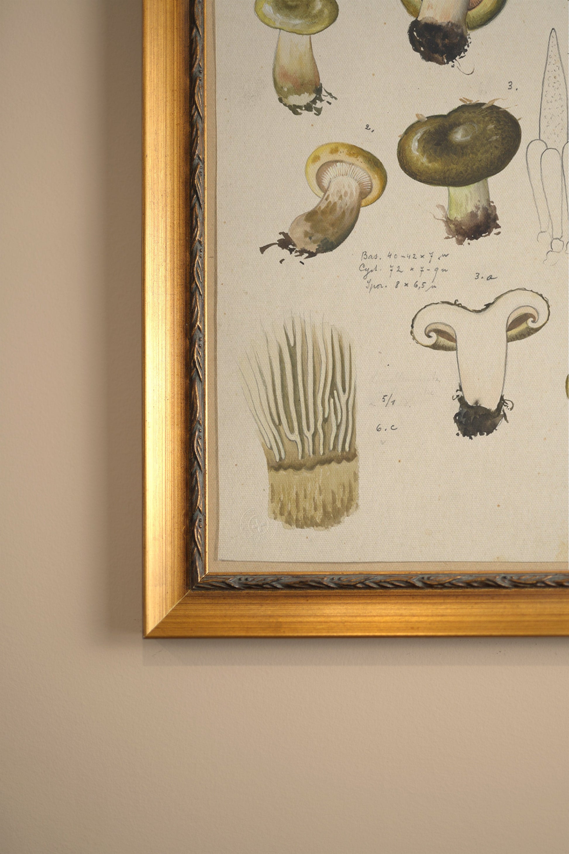 Vintage Gold Frame Forest Treasure