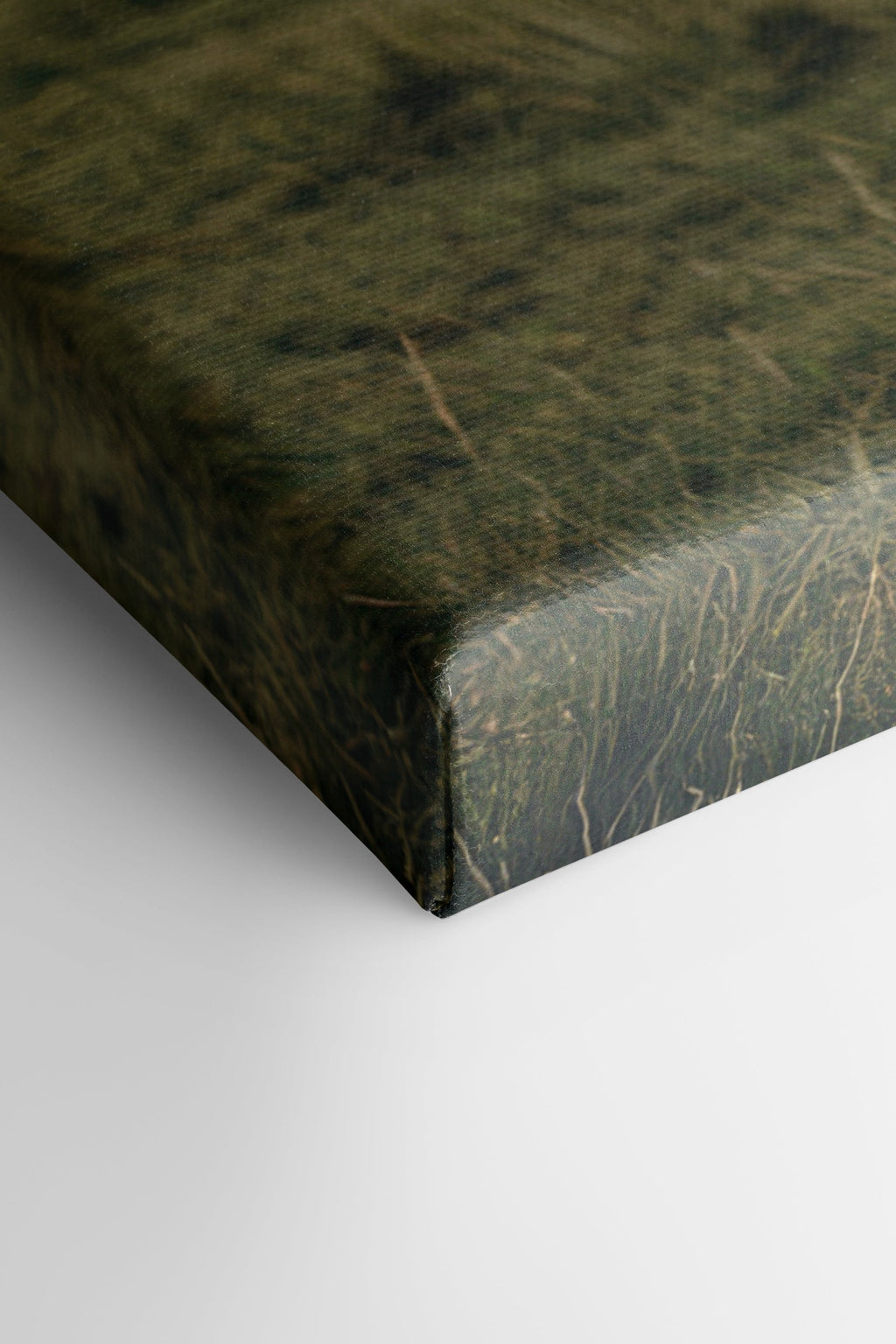 SPIRIT OF THE MEADOW, Stretched Canvas Artwork