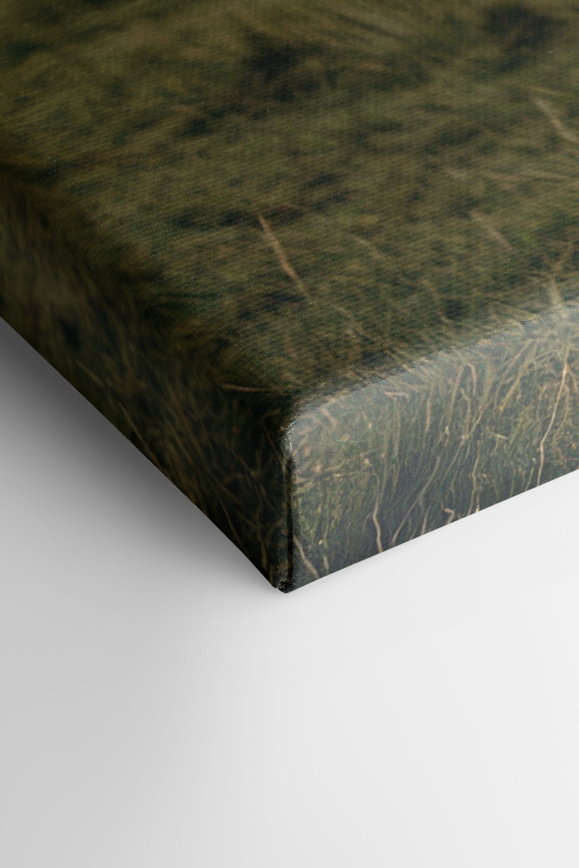 SPIRIT OF THE MEADOW, Stretched Canvas Artwork