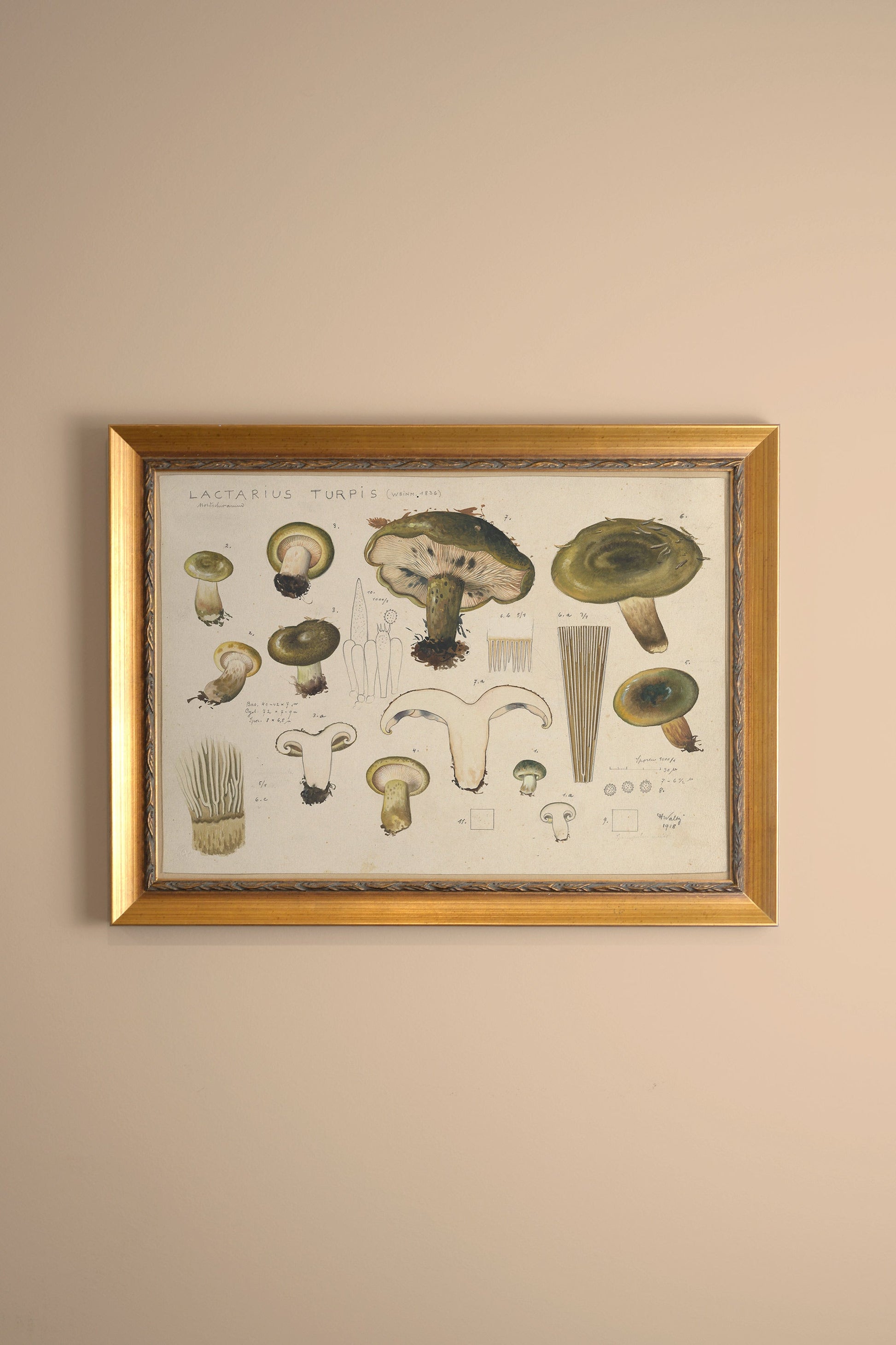 Vintage Gold Frame Forest Treasure