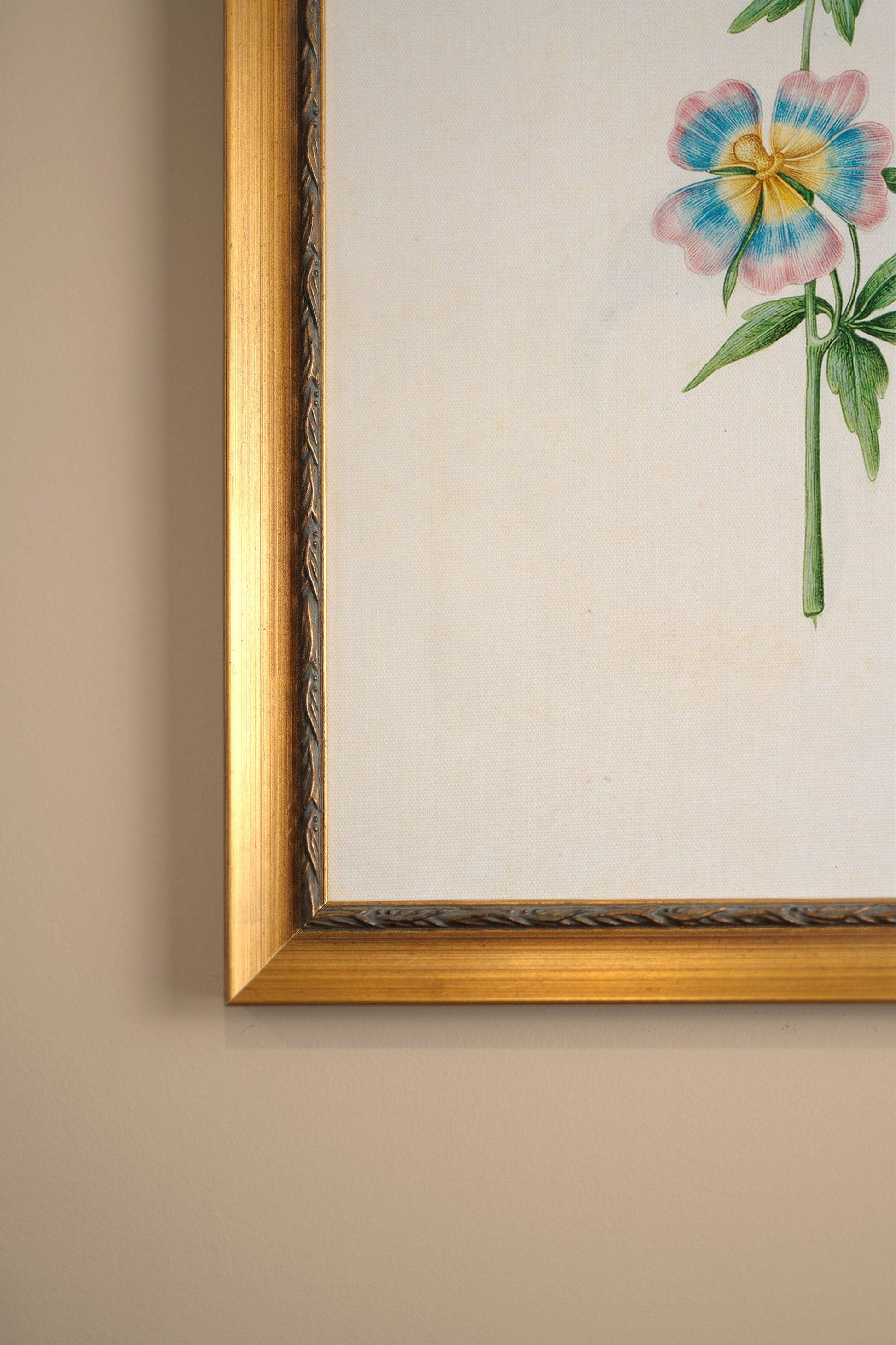 Pastel Puff, Vintage Gold Frame