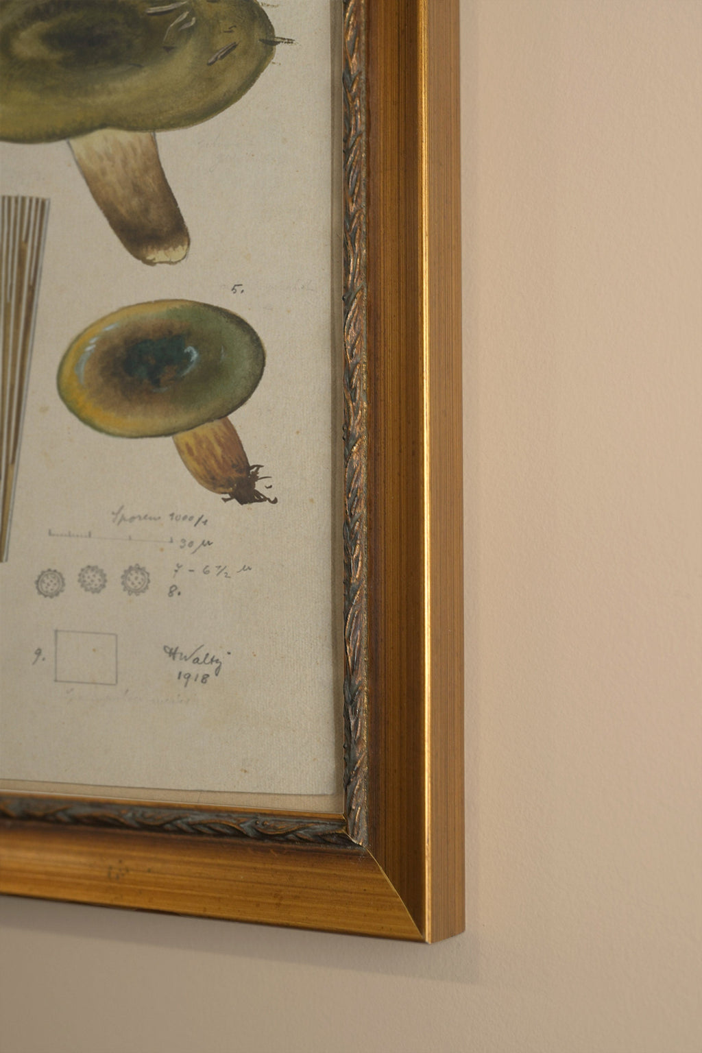 Vintage Gold Frame Forest Treasure