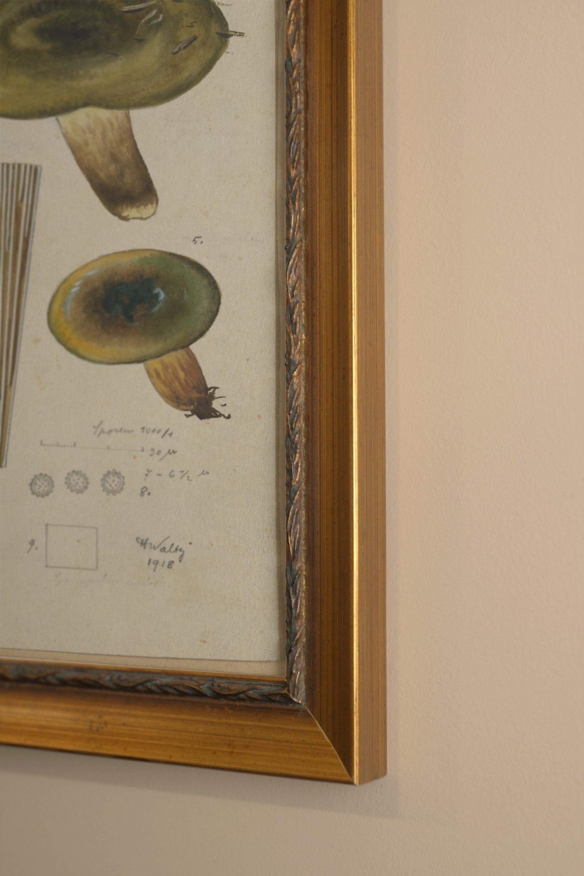 Vintage Gold Frame Forest Treasure