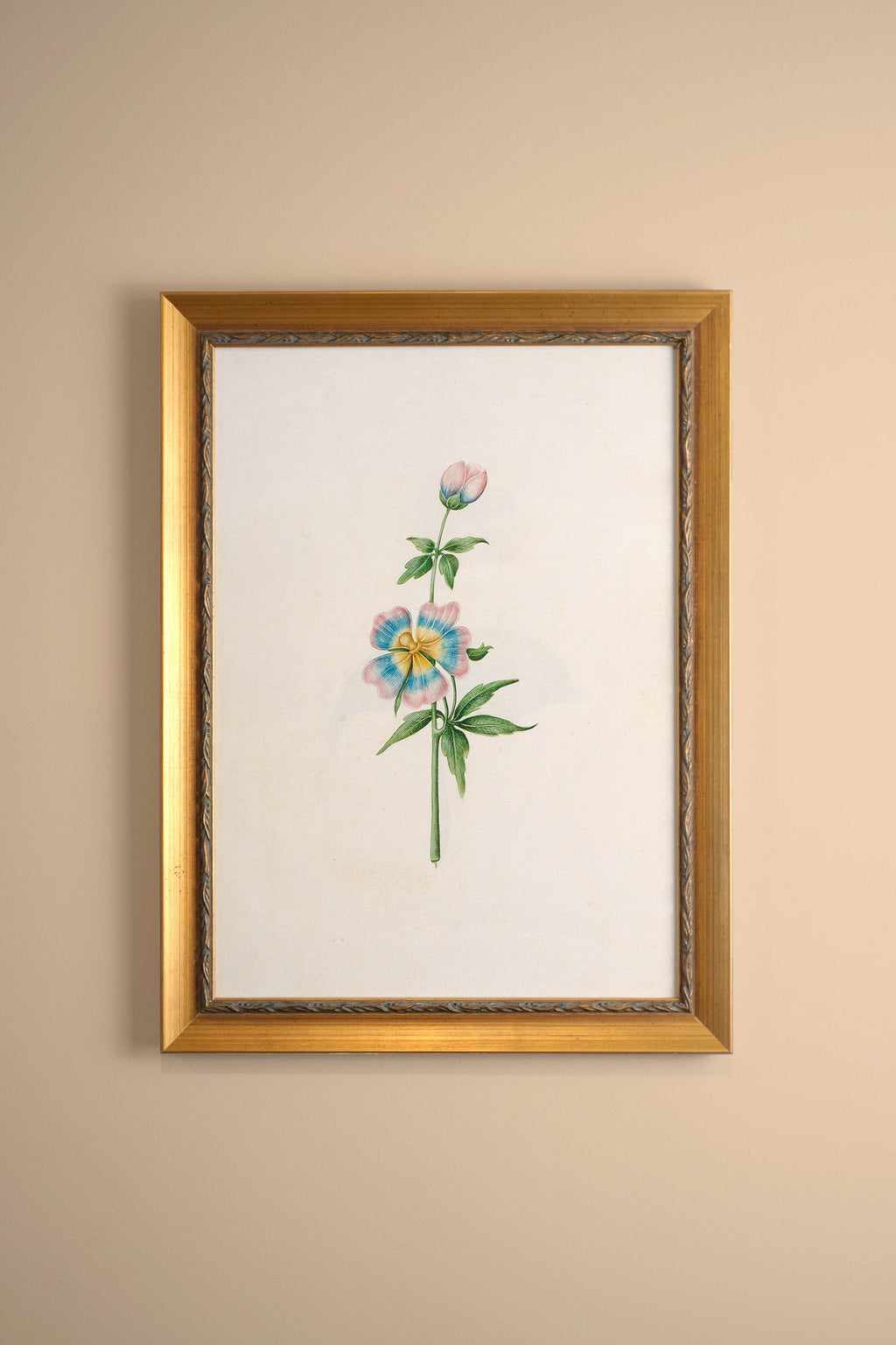 Pastel Puff, Vintage Gold Frame