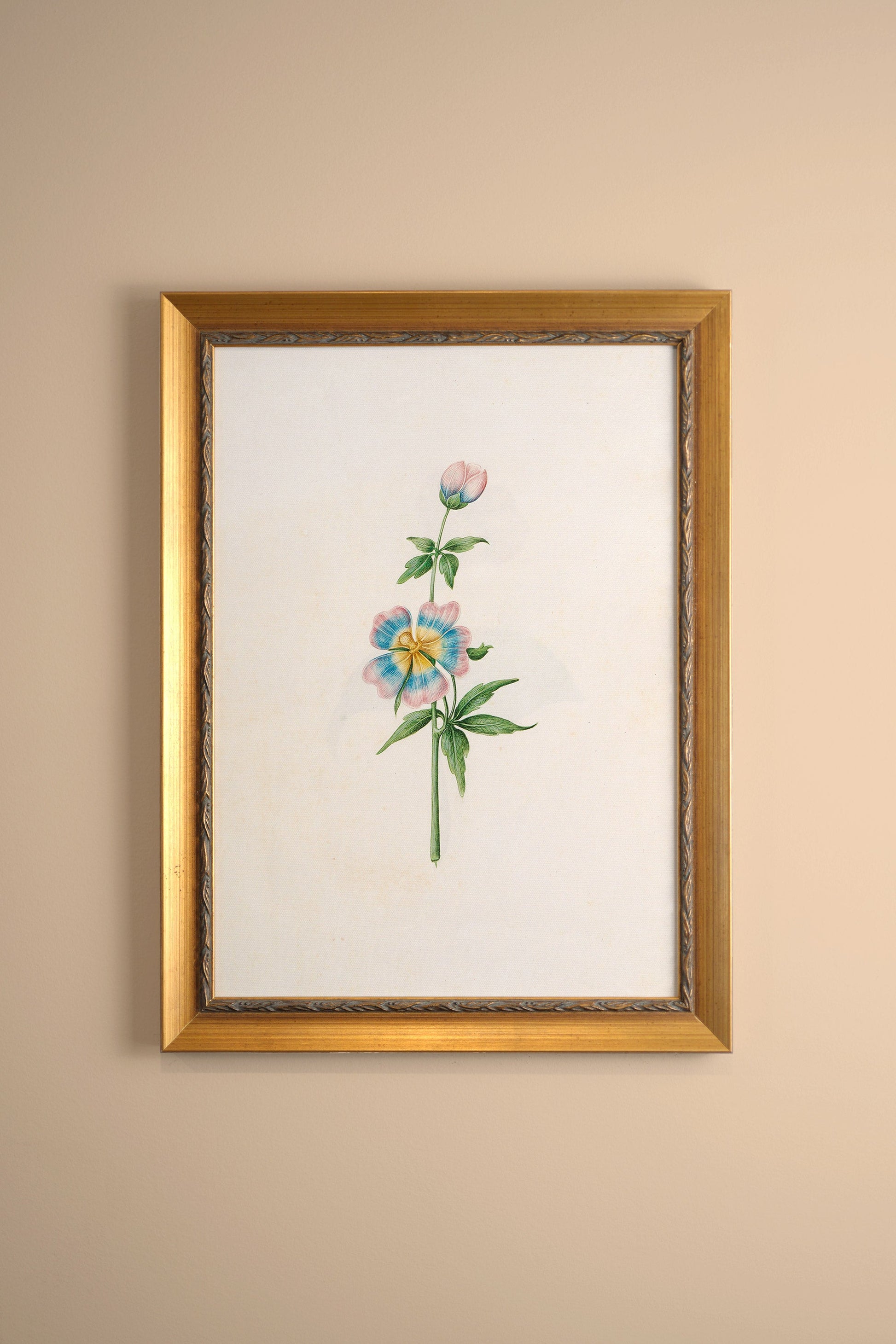 Pastel Puff, Vintage Gold Frame