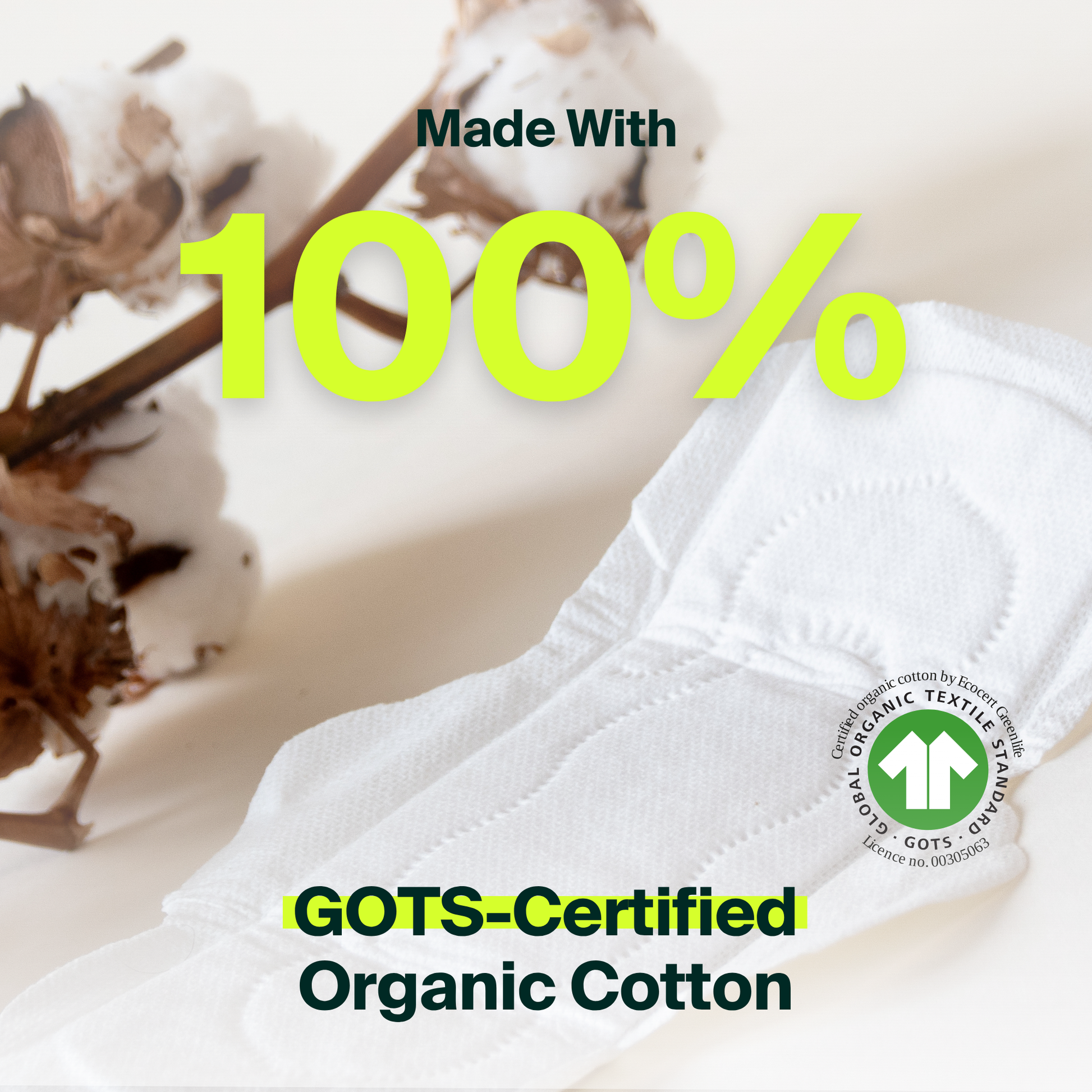 100% Organic Cotton Daily Pads - Bulk (100)