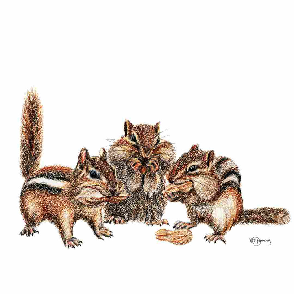 3 Chipmunks - greeting card